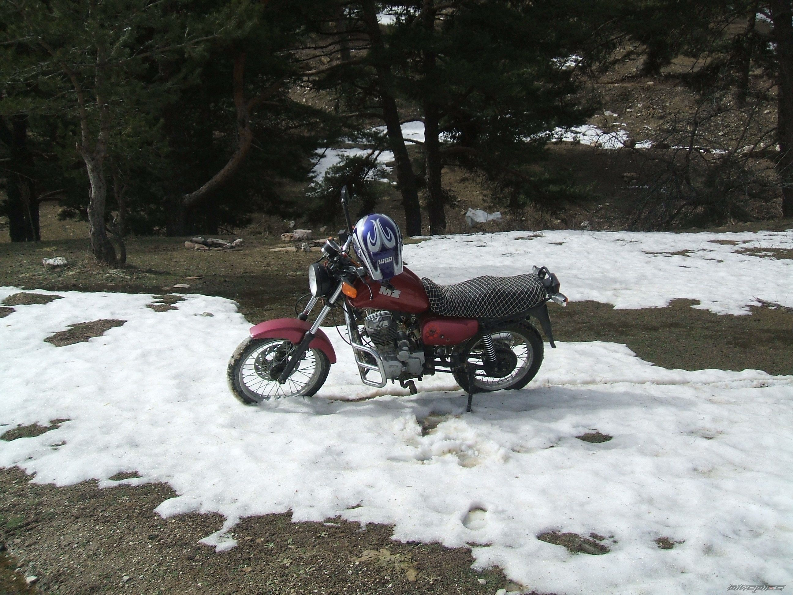 2010 MZ ETZ 125 CROSS | Picture 1910383 motorcycle photo