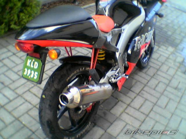 2000 APRILIA RS 50 | Picture 191056 motorcycle photo