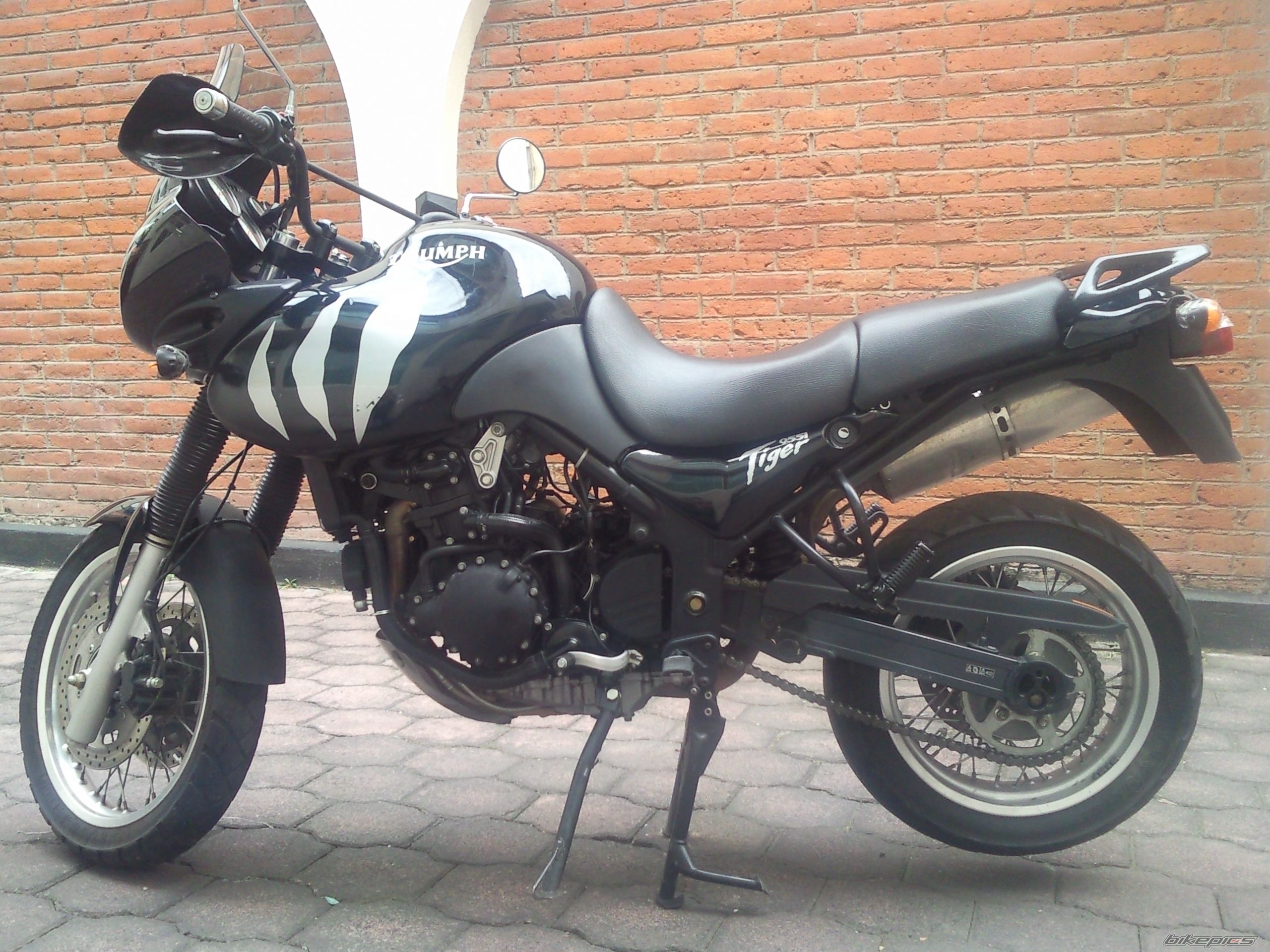 2002 TRIUMPH TIGER | Picture 1910658 motorcycle photo