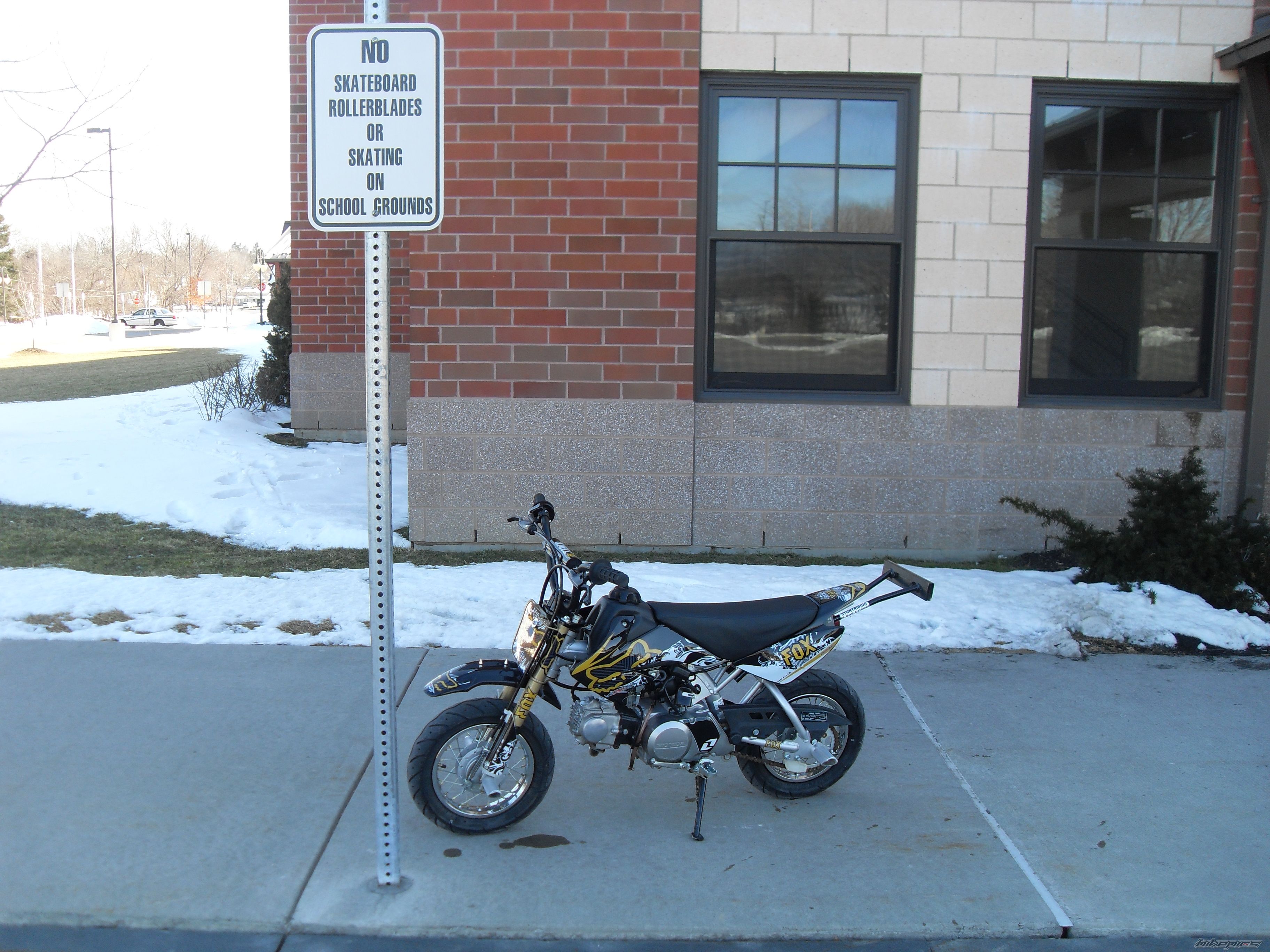 2005 HONDA CRF 50 | Picture 1910690 motorcycle photo
