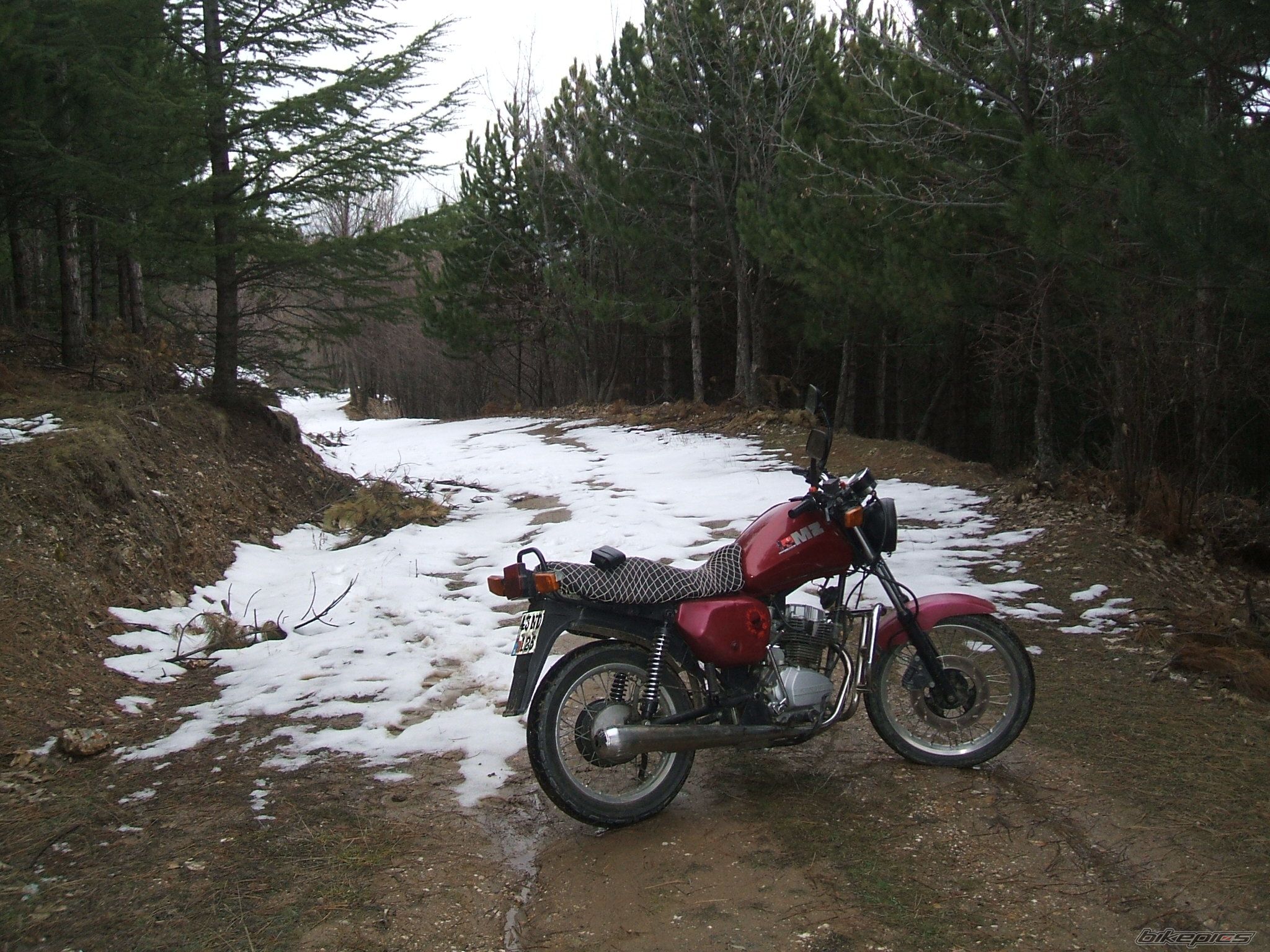 2010 MZ ETZ 125 CROSS | Picture 1911226 motorcycle photo