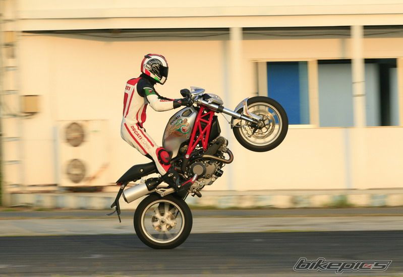 2009 DUCATI MONSTER 1000 | Picture 1911852 motorcycle photo