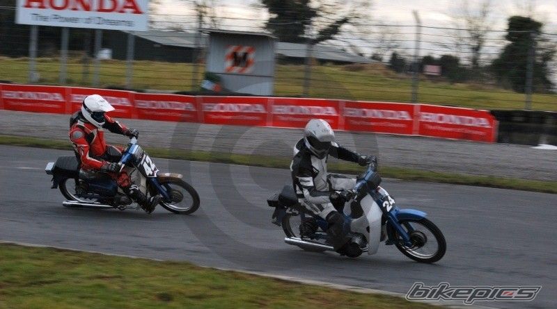 1999 HONDA C 90 | Picture 1913672 motorcycle photo