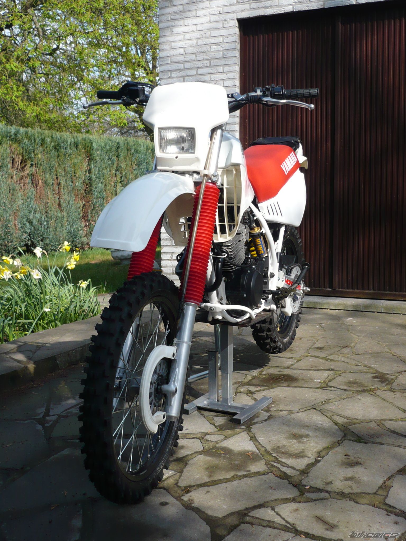 2009 YAMAHA TTR 350 | Picture 1913753 motorcycle photo