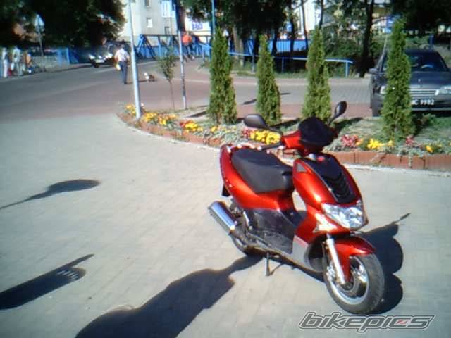 2004 KYMCO SUPER 9 | Picture 191386 motorcycle photo