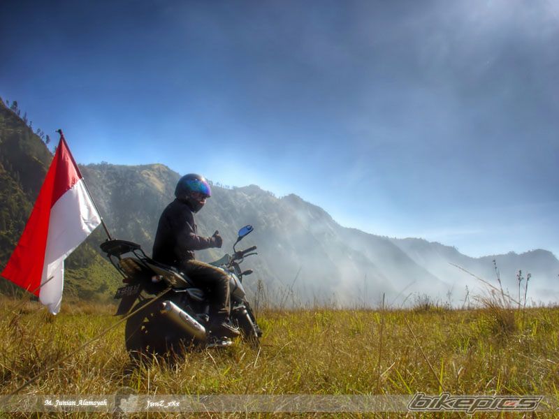 2008 BAJAJ PULSAR 180 | Picture 1914030 motorcycle photo