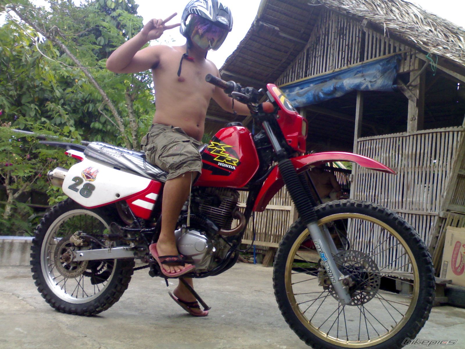 2010 HONDA XLR 200 | Picture 1914359 motorcycle photo