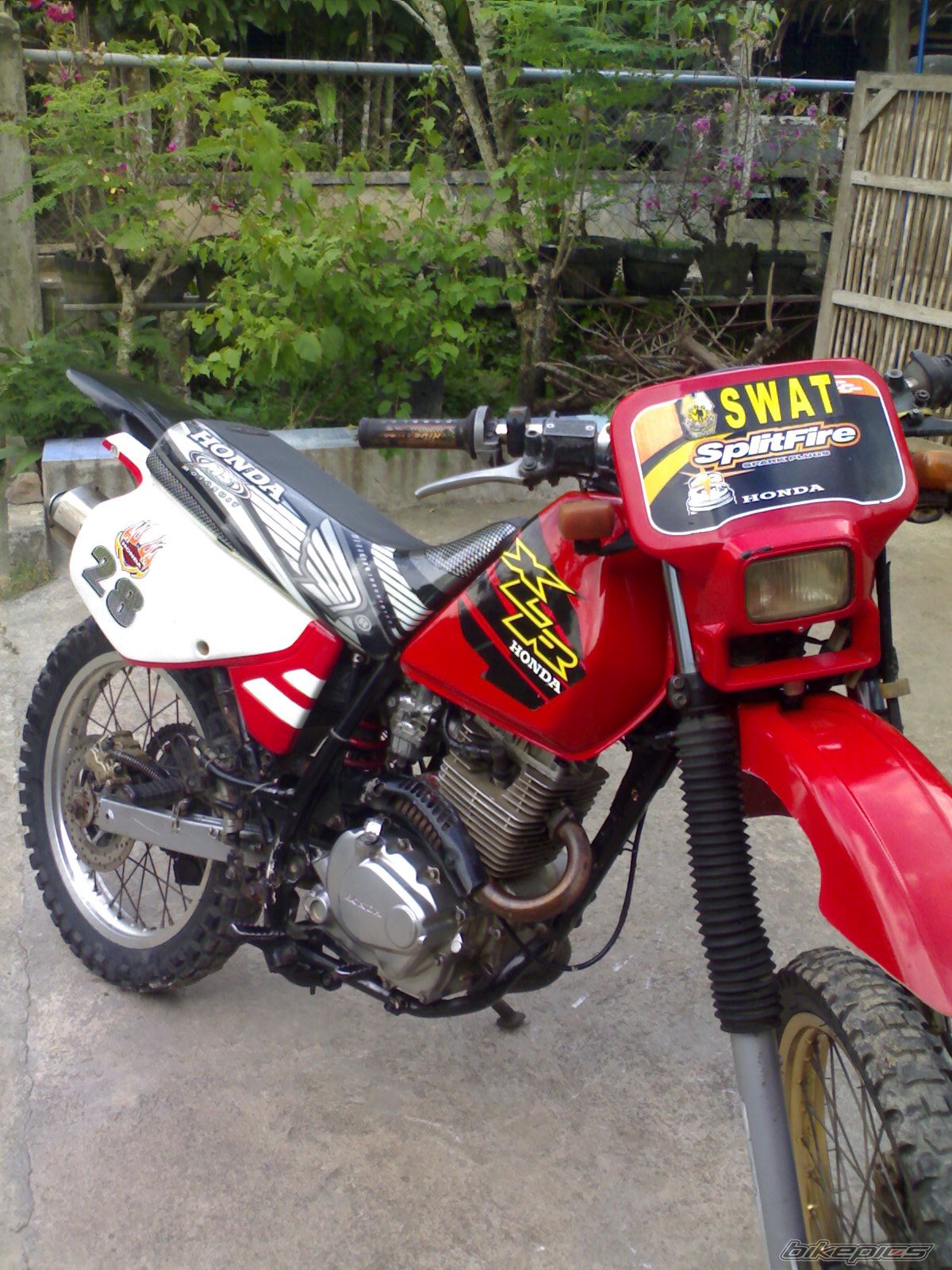 2010 HONDA XLR 200 | Picture 1914362 motorcycle photo
