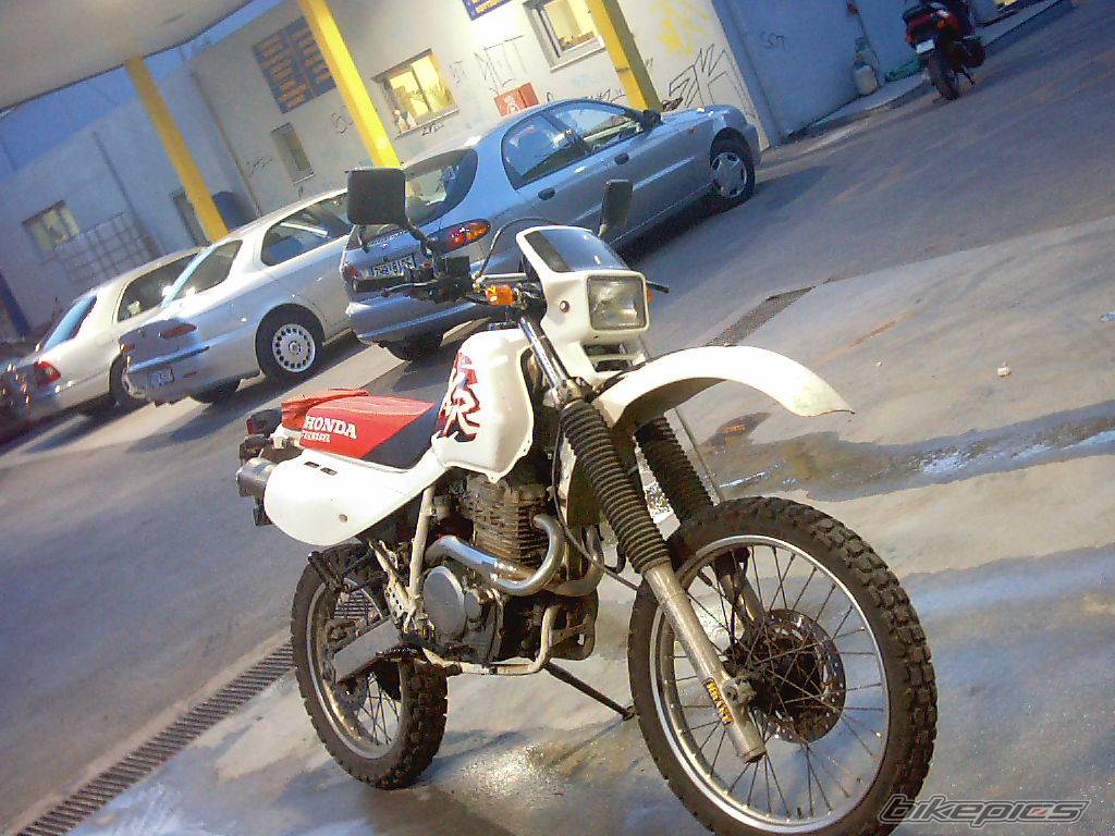 1997 HONDA XR 650 | Picture 191517 motorcycle photo