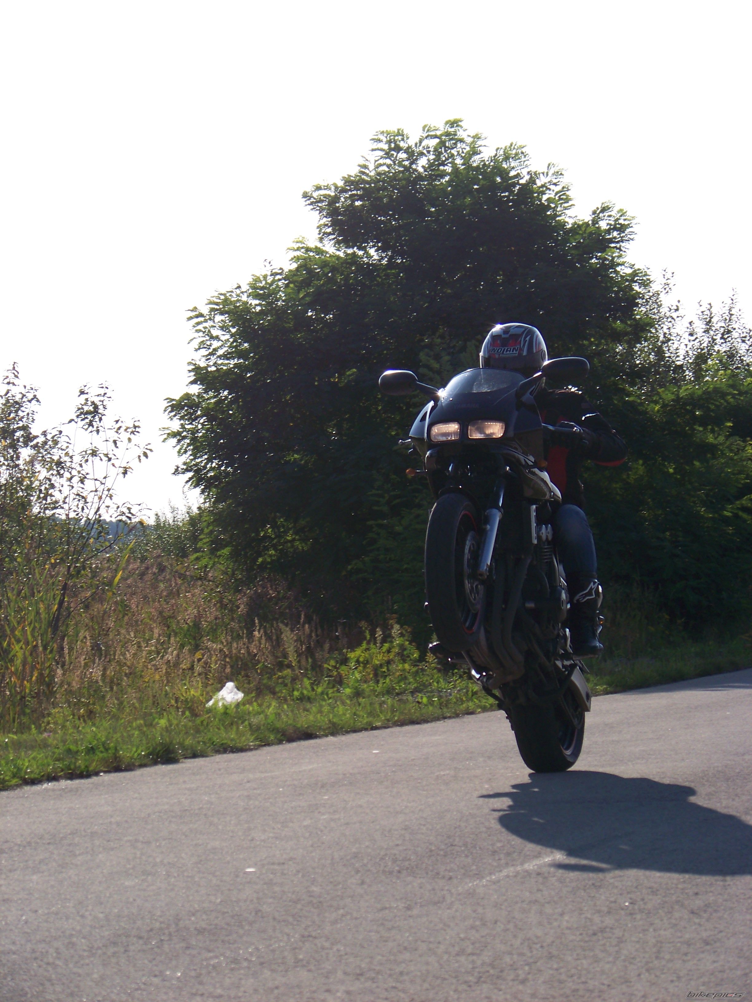 1999 YAMAHA FZS 600 FAZER | Picture 1915177 motorcycle photo