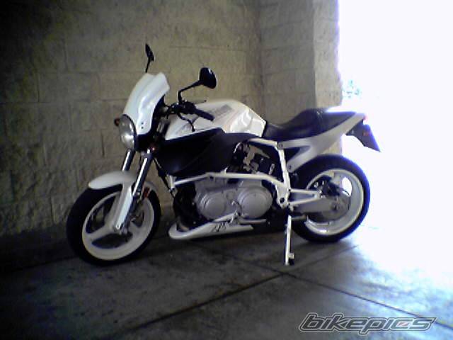 2002 BUELL X1 | Picture 191520 motorcycle photo