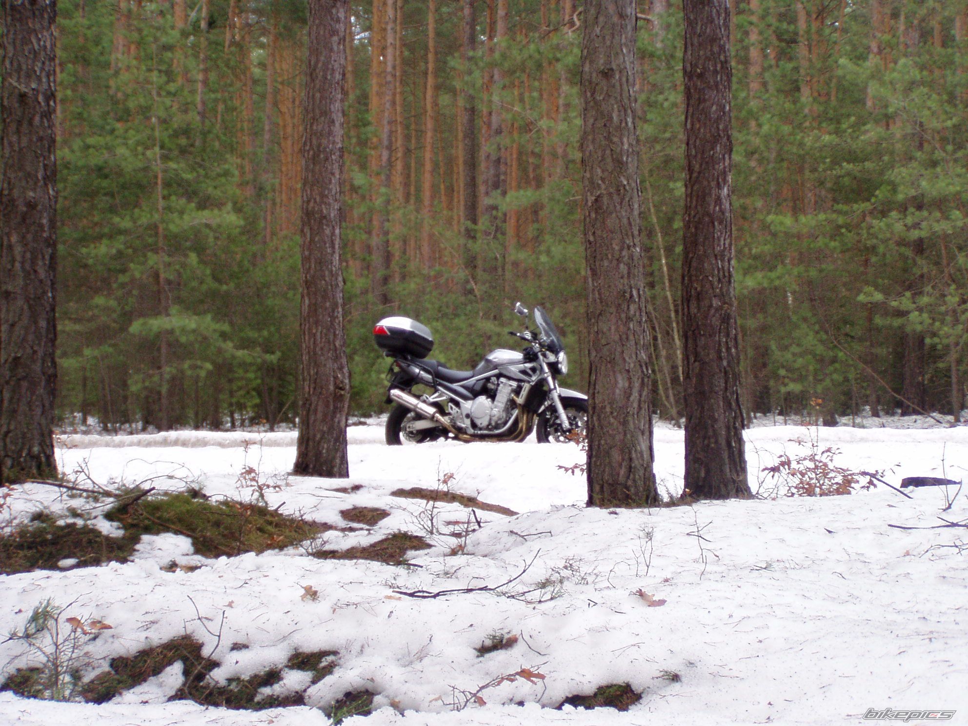2009 SUZUKI BANDIT 1250 N | Picture 1915850 motorcycle photo