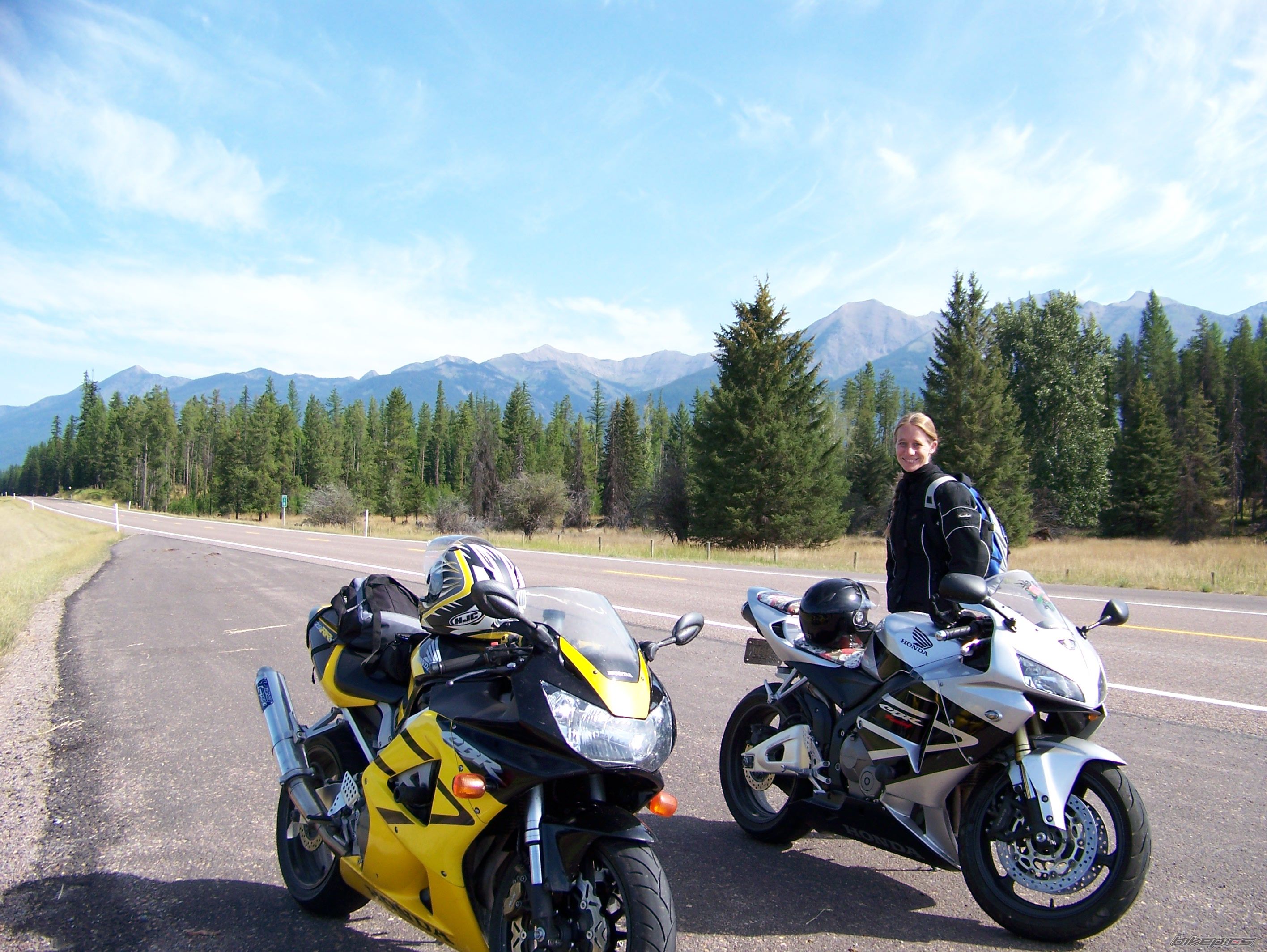 2001 HONDA CBR 900 | Picture 1916063 motorcycle photo
