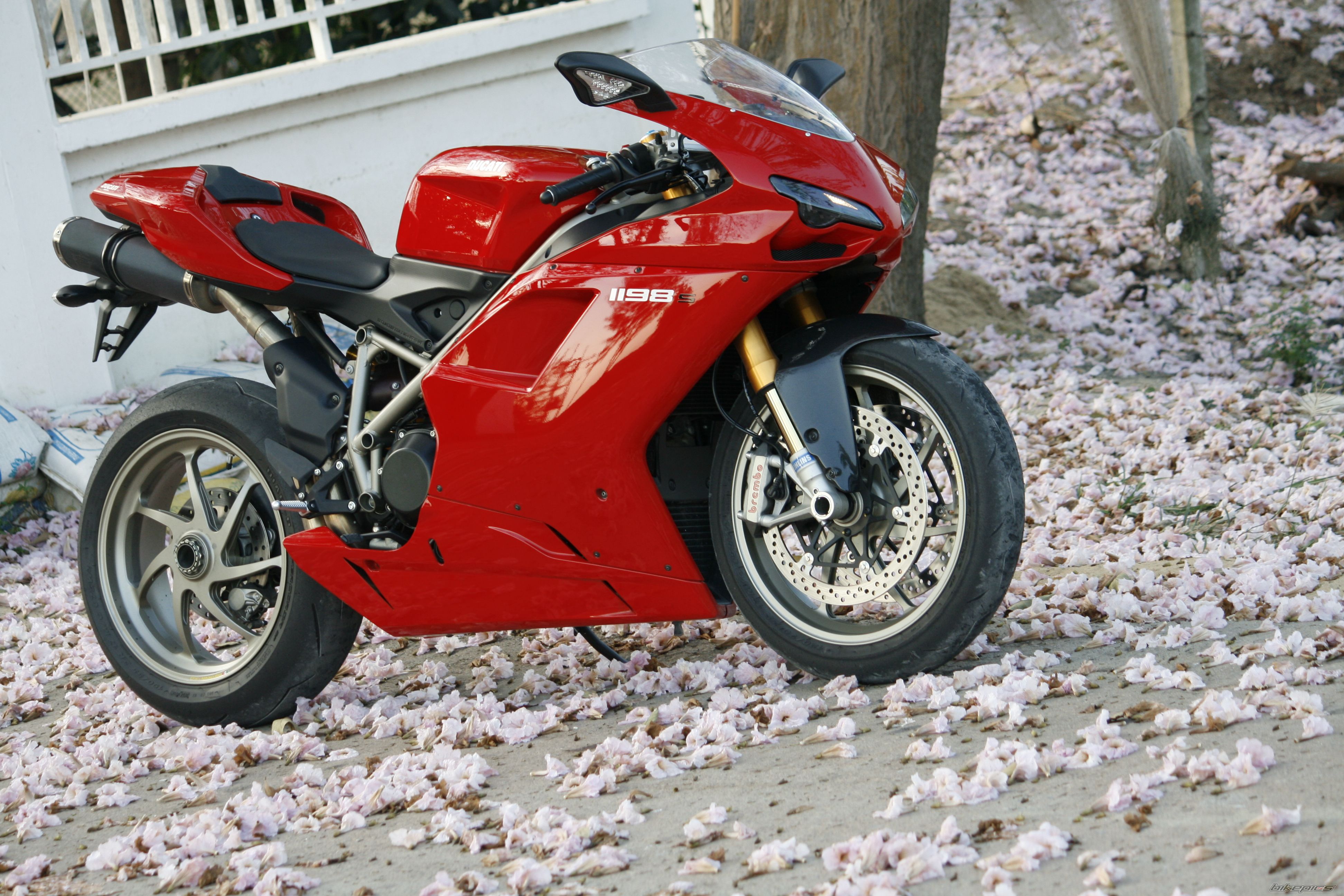 2010 DUCATI 1098S | Picture 1916378 motorcycle photo