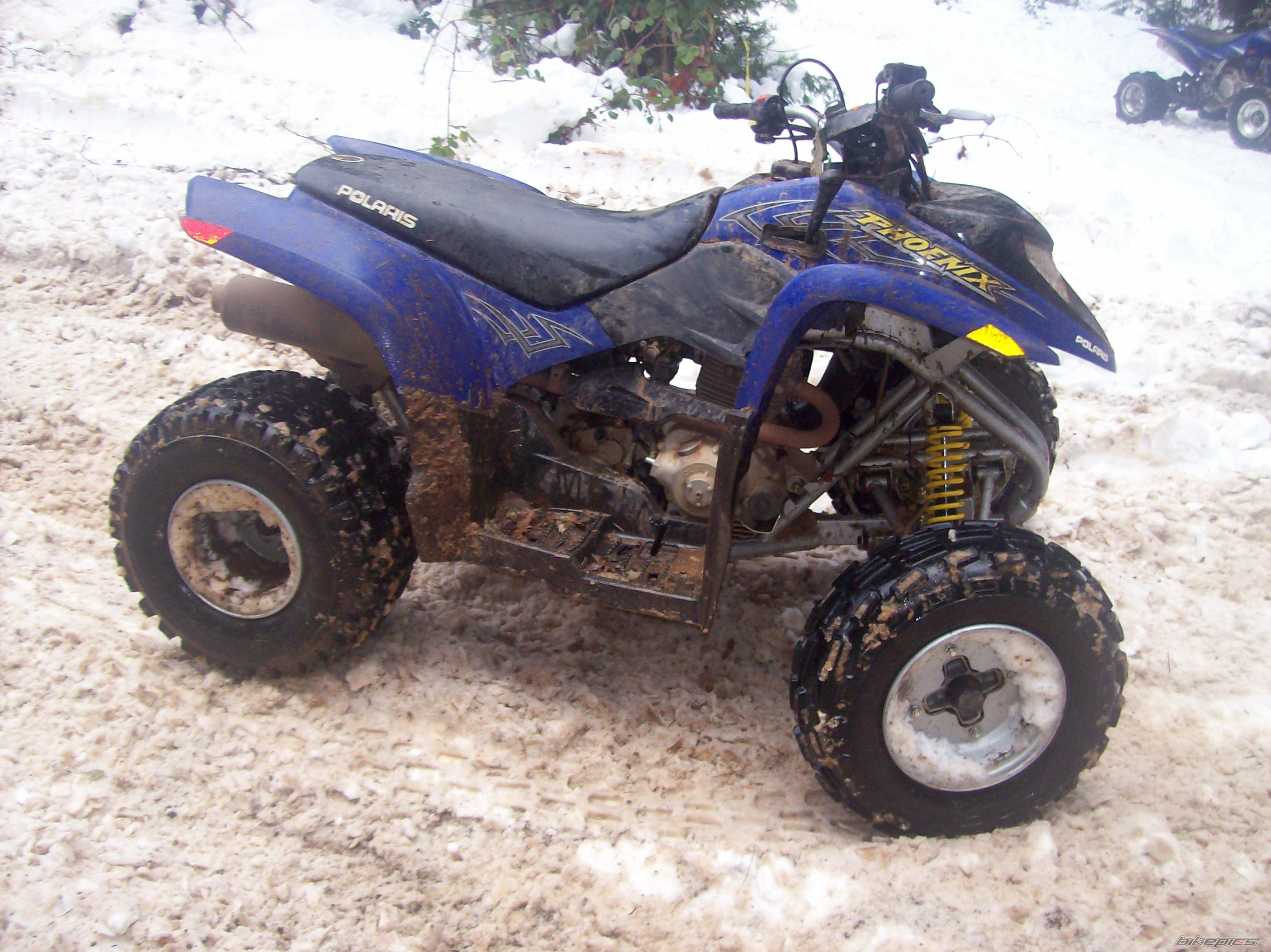 2005 POLARIS PHOENIX 200 | Picture 1917811 motorcycle photo
