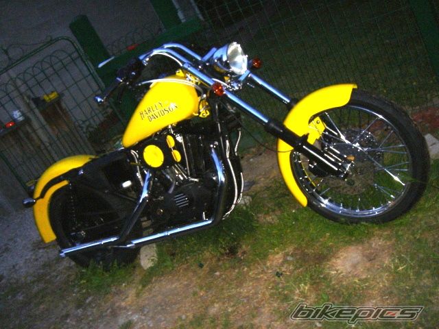 1981 HARLEY DAVIDSON XLH 1000 | Picture 1917984 motorcycle photo
