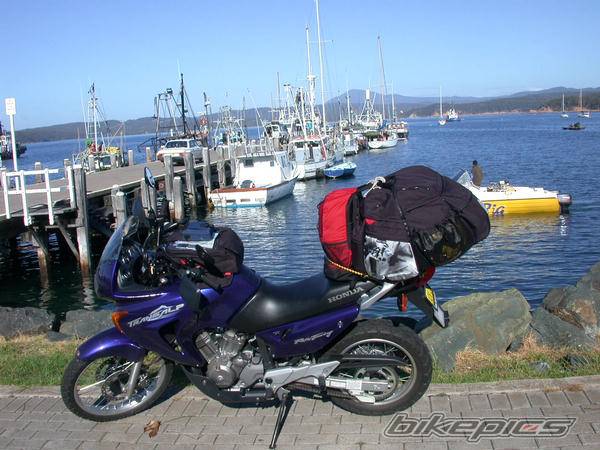 2003 HONDA XL 650V TRANSALP | Picture 191845 motorcycle photo