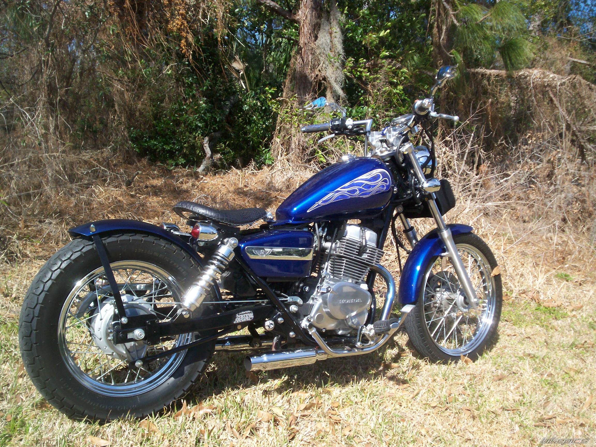 2001 HONDA CMX 250 | Picture 1918933 motorcycle photo
