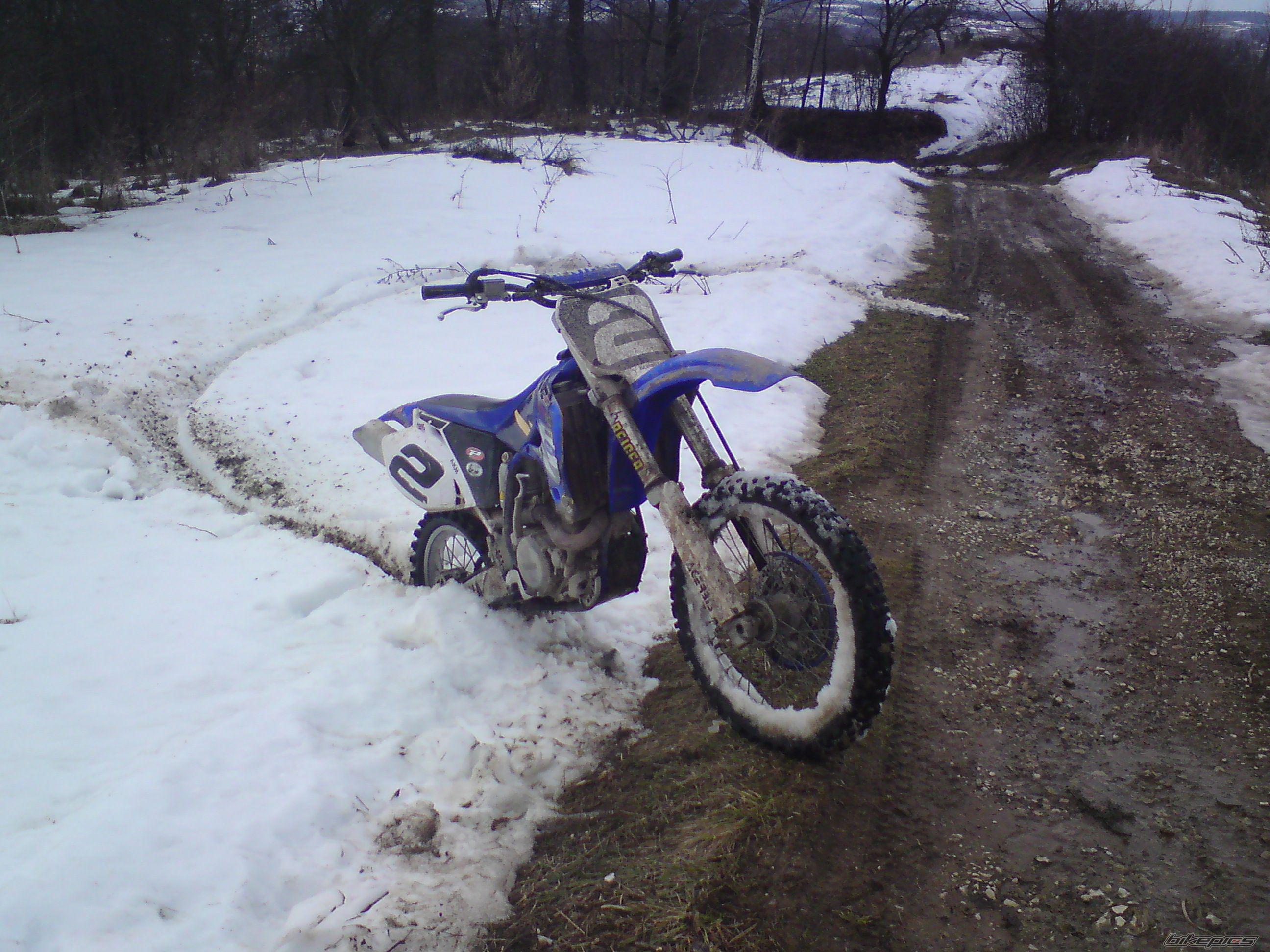 2003 YAMAHA YZ 450F | Picture 1920307 motorcycle photo