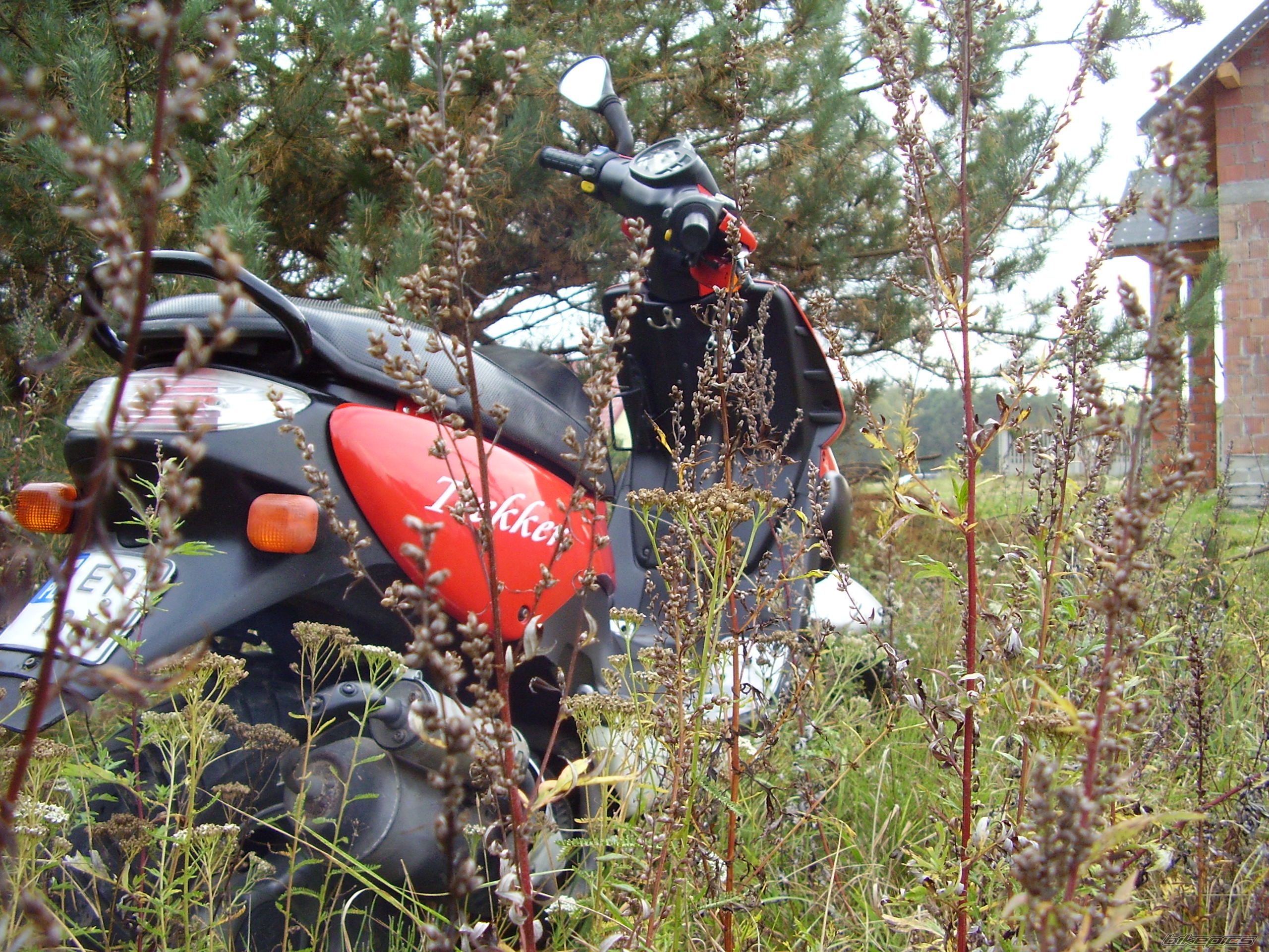 2000 PEUGEOT TREKKER 50 | Picture 1920742 motorcycle photo