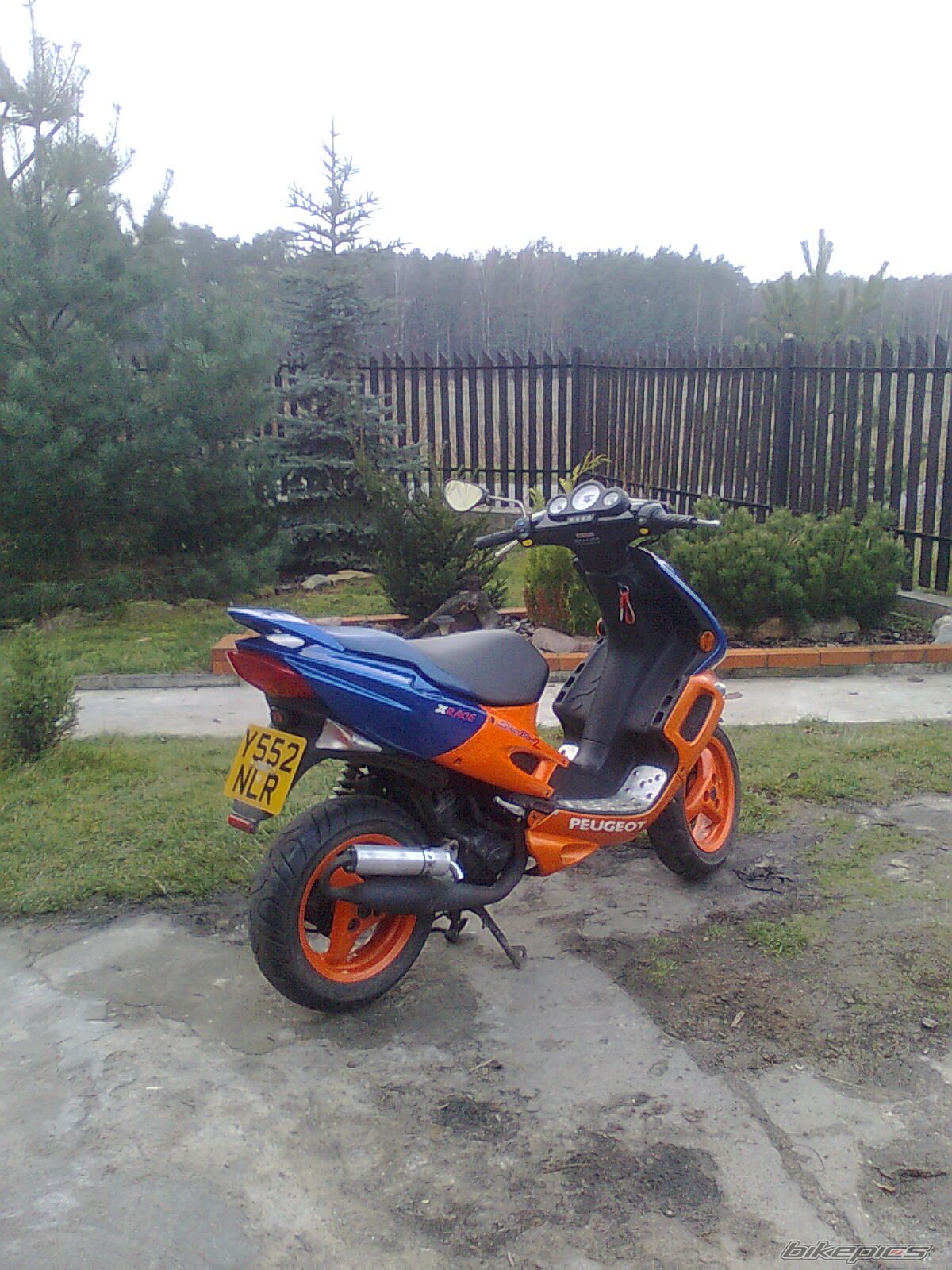 2002 PEUGEOT SPEEDFIGHT2 50 | Picture 1920853 motorcycle photo