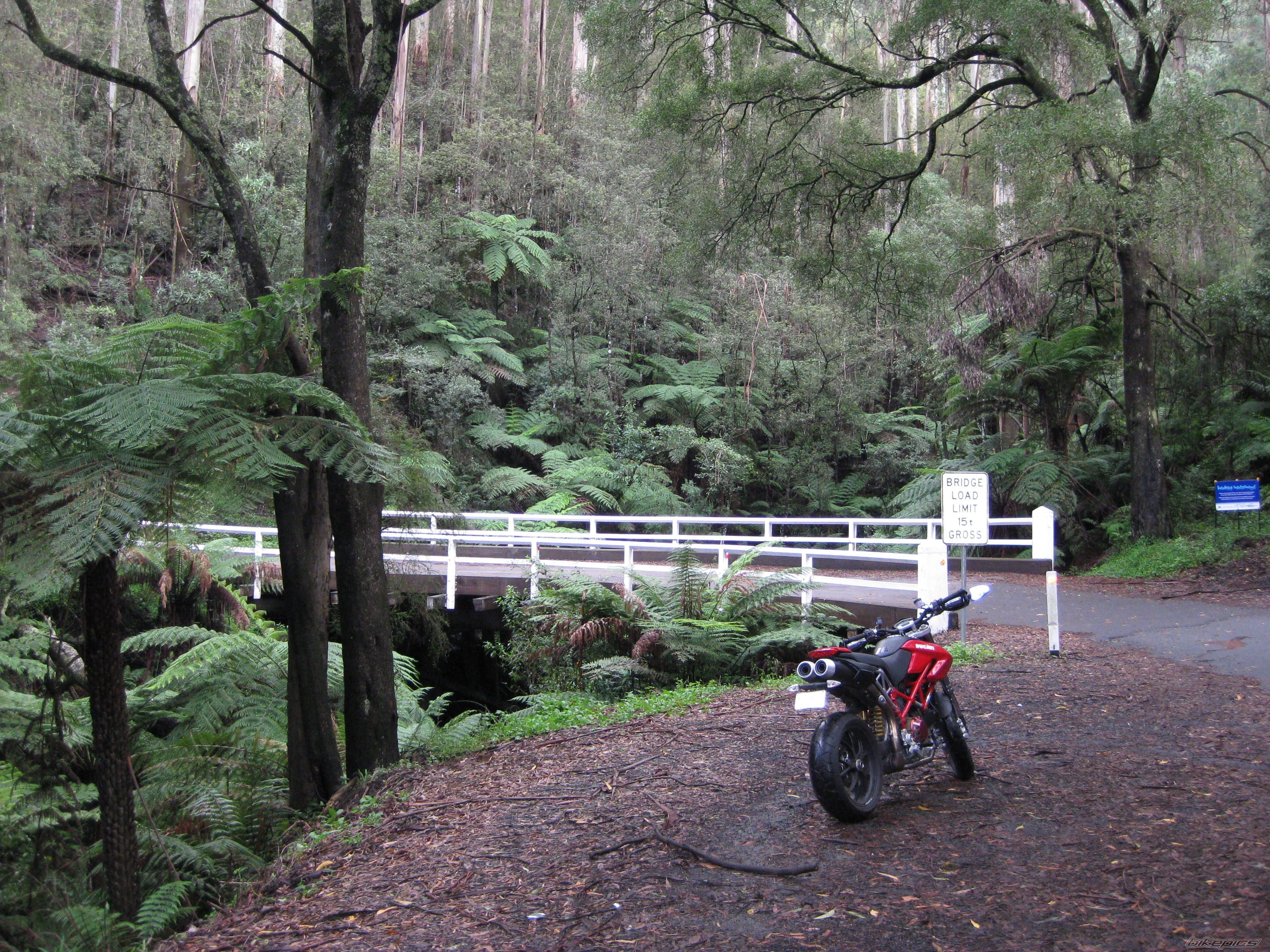 2008 DUCATI HYPERMOTARD 1100 | Picture 1921419 motorcycle photo
