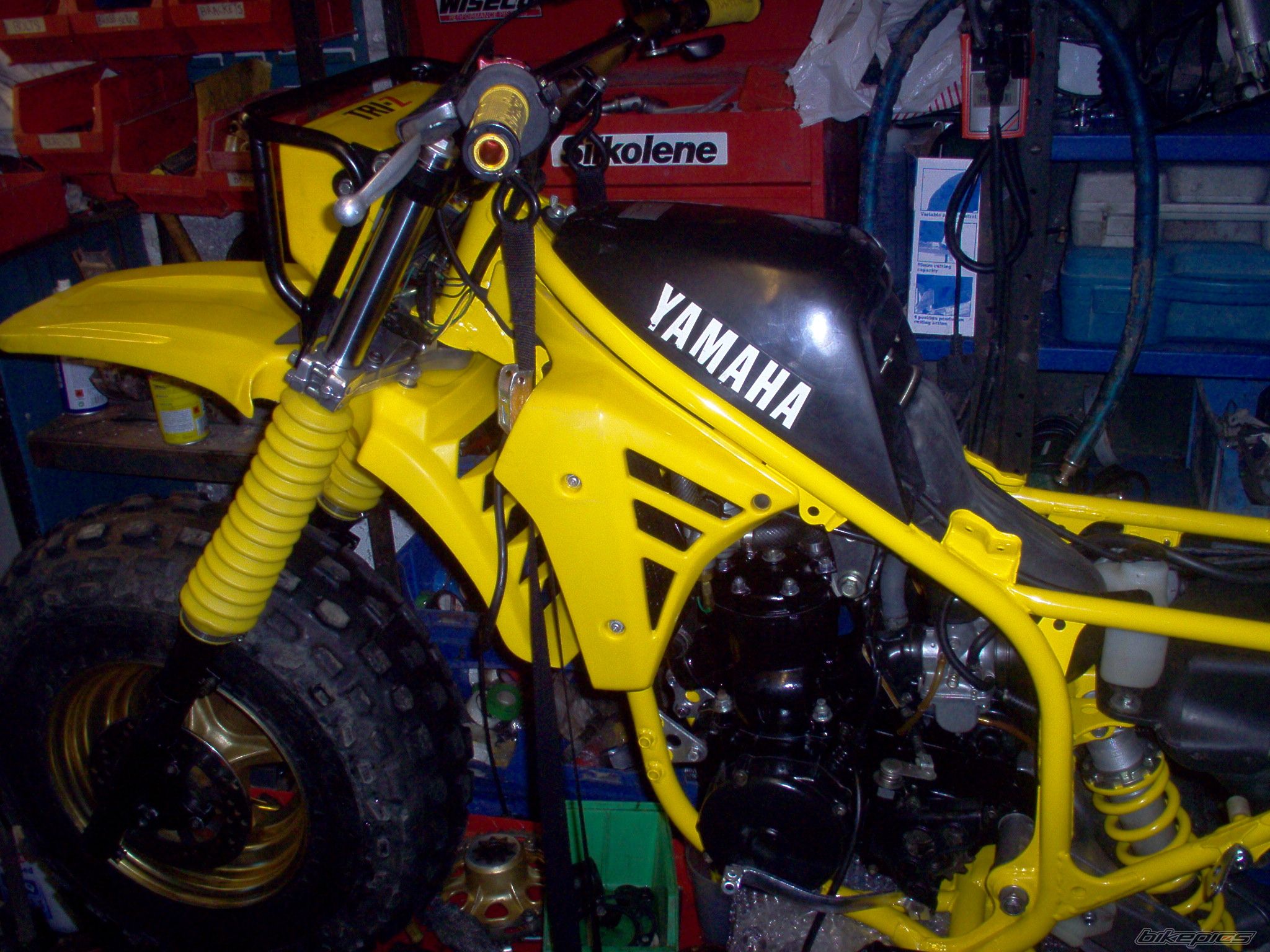 1985 YAMAHA YTZ 250 | Picture 1921667 motorcycle photo