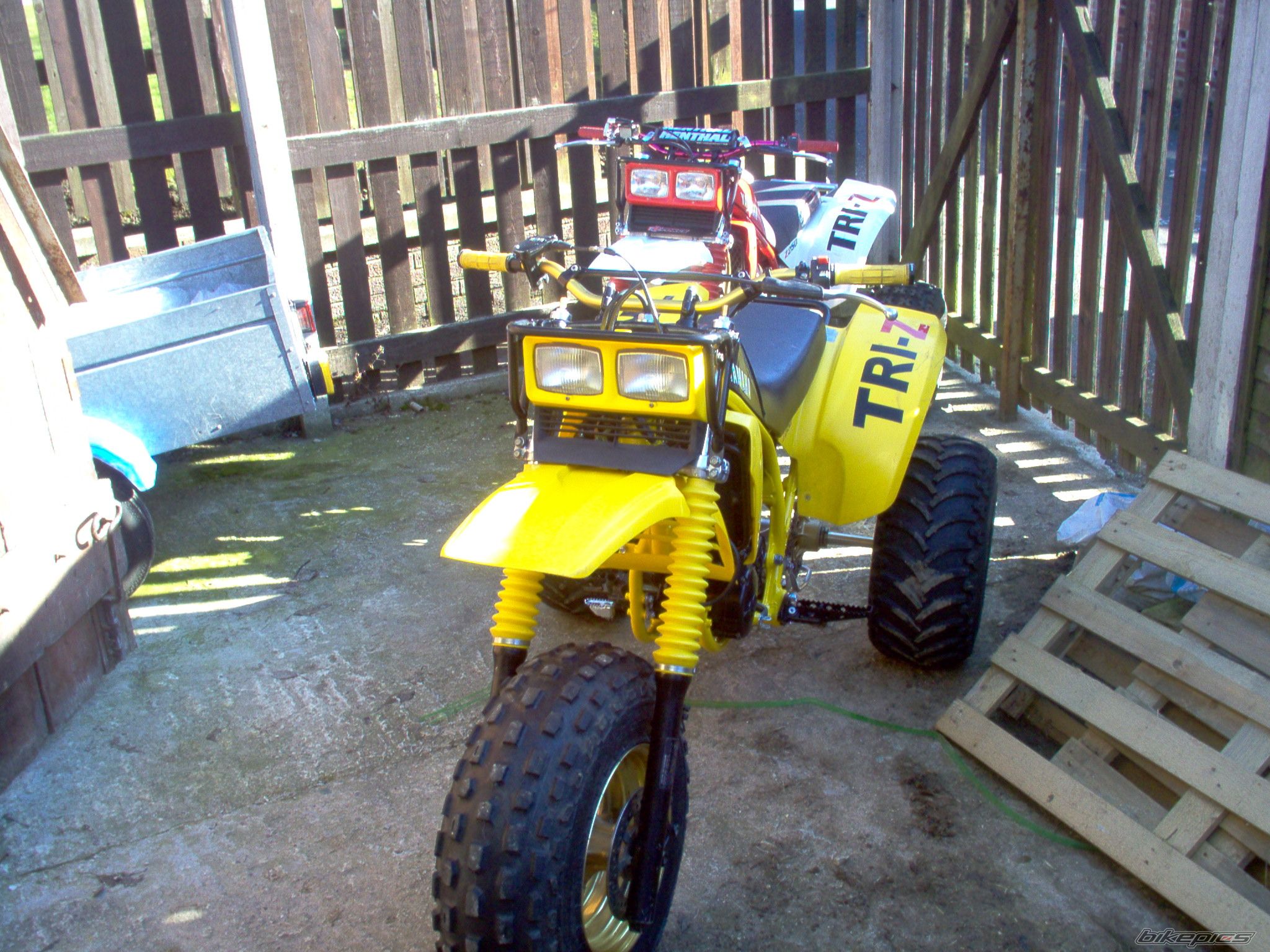 1985 YAMAHA YTZ 250 | Picture 1921675 motorcycle photo