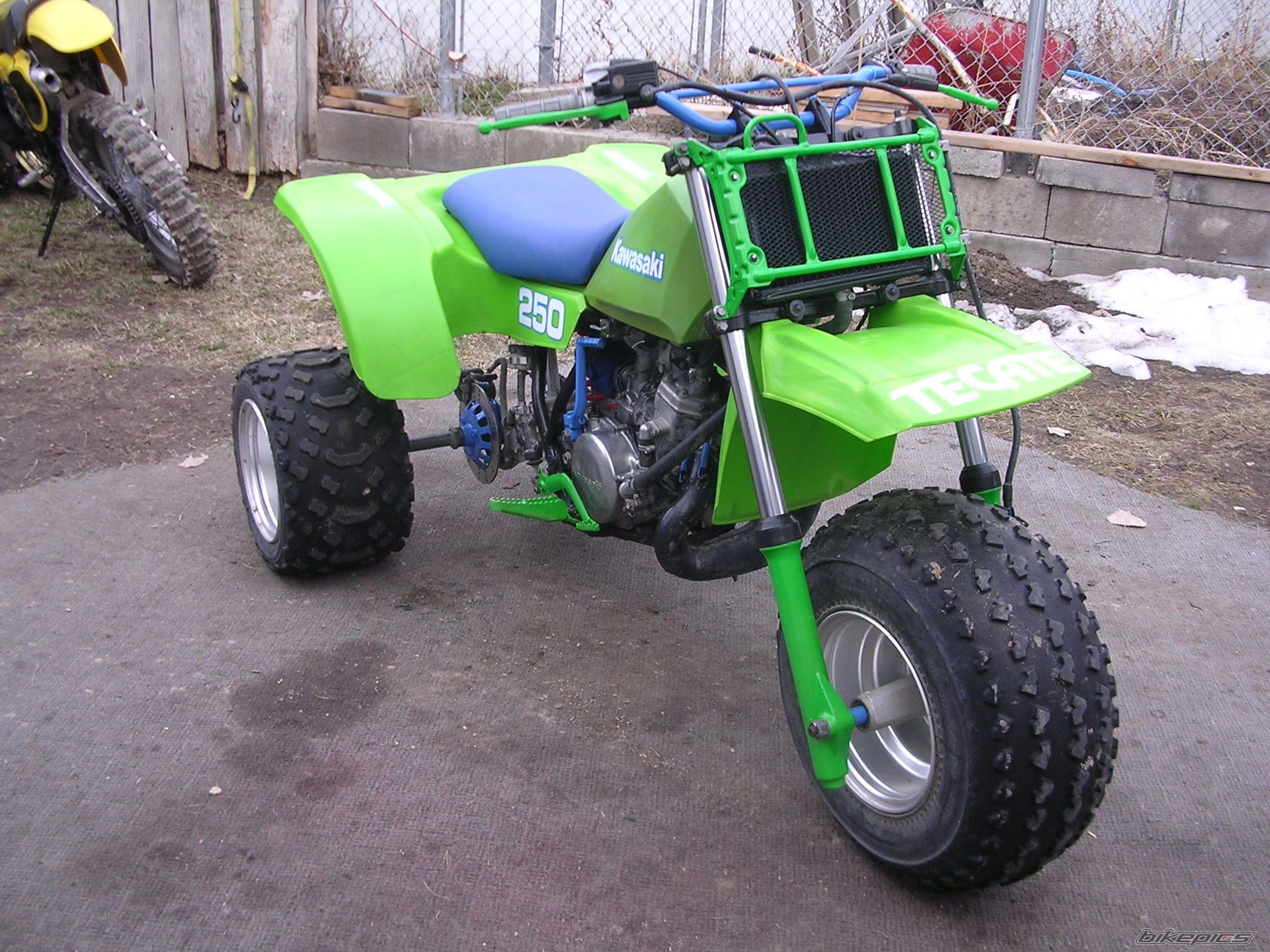 1984 KAWASAKI TECATE 3 | Picture 1921997 motorcycle photo