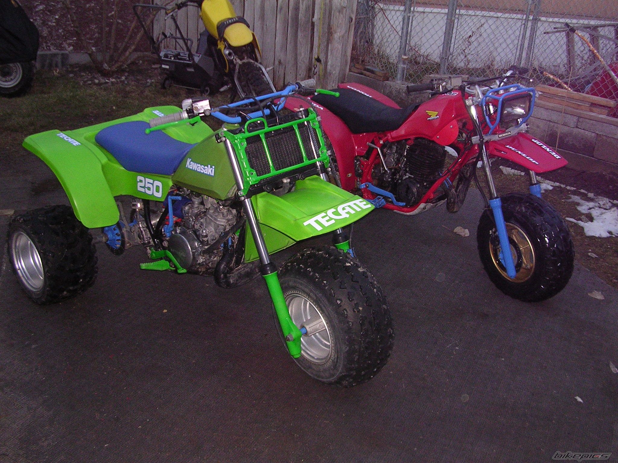 1984 KAWASAKI TECATE 3 | Picture 1921999 motorcycle photo