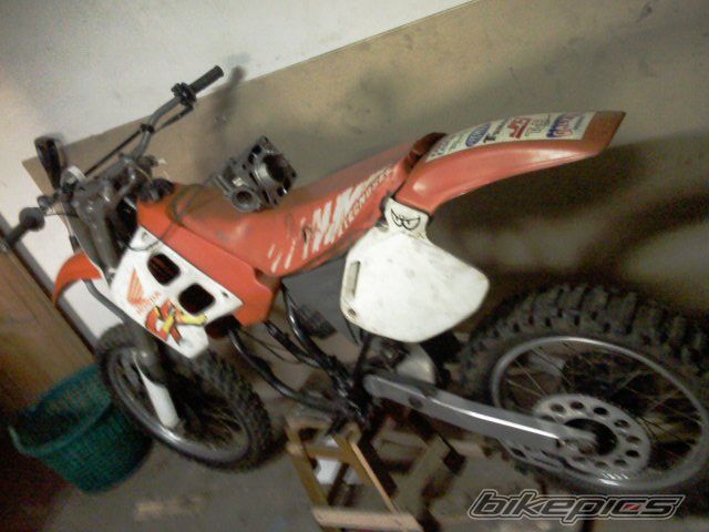 1996 HONDA CR 250 | Picture 1923165 motorcycle photo