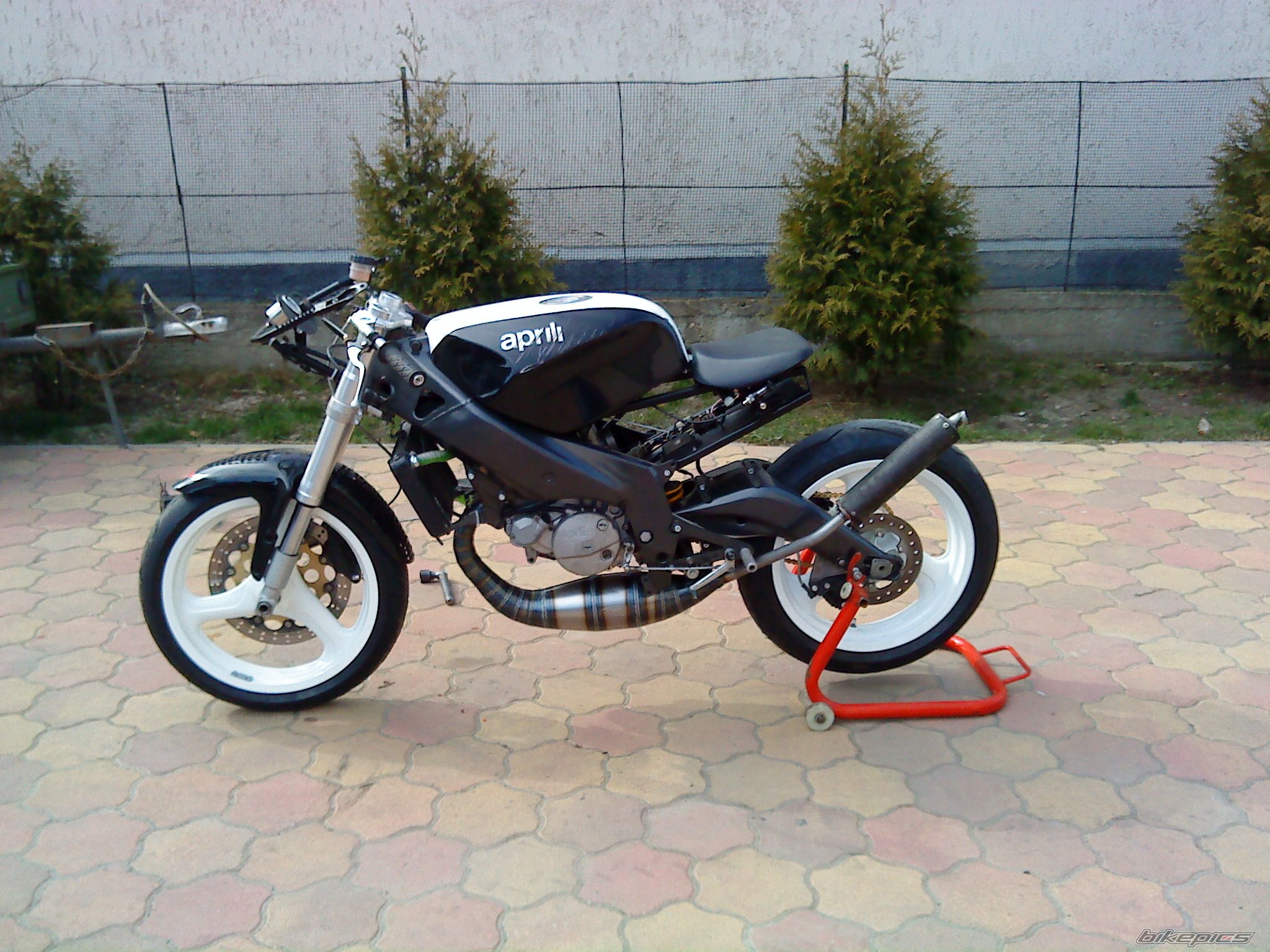 1995 APRILIA RS 125 | Picture 1923258 motorcycle photo