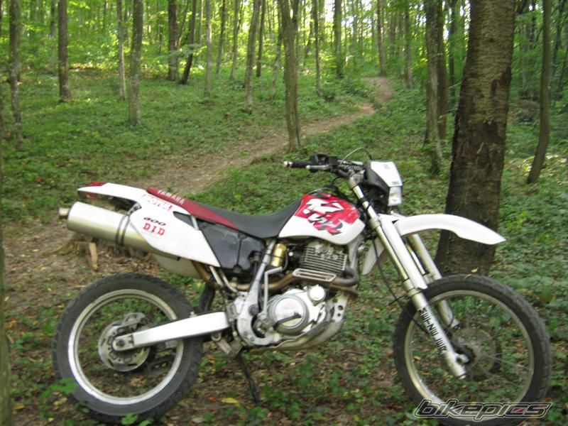1998 YAMAHA TTR 600 | Picture 1923285 motorcycle photo