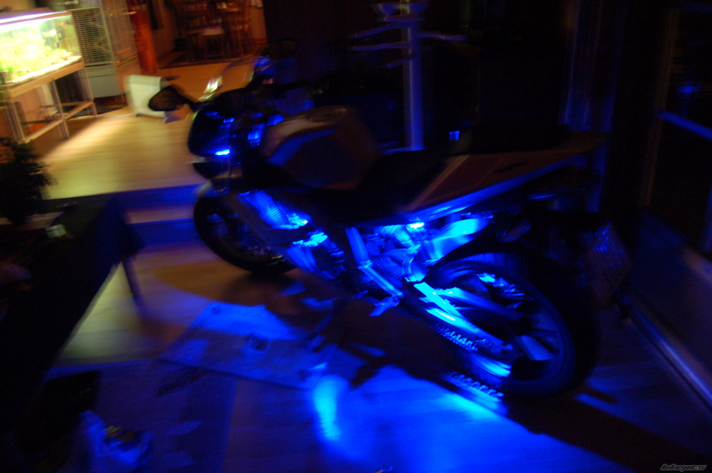 2005 DERBI GPR 125 | Picture 1923291 motorcycle photo