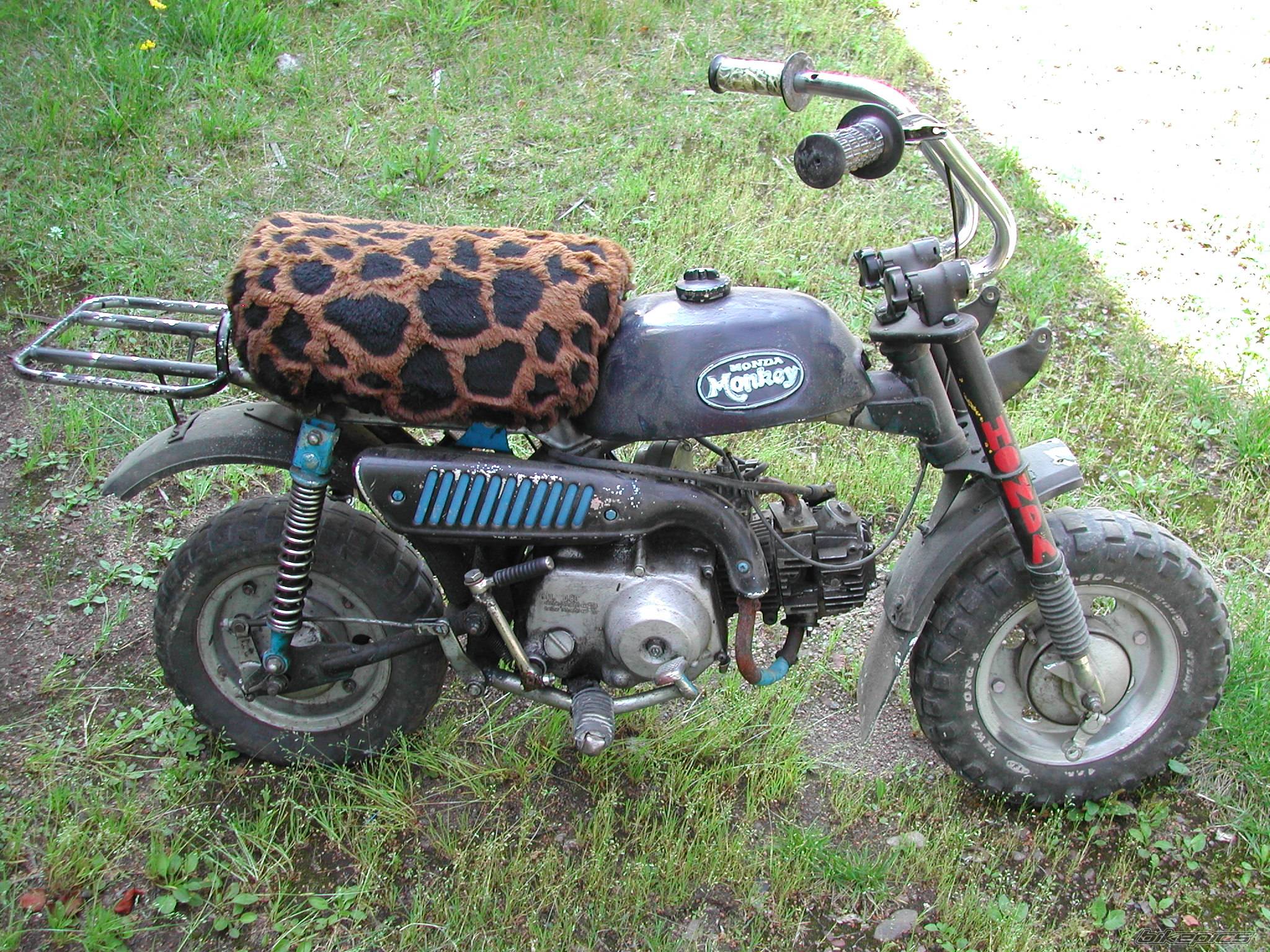 1998 HONDA NSR 125 | Picture 192375 motorcycle photo
