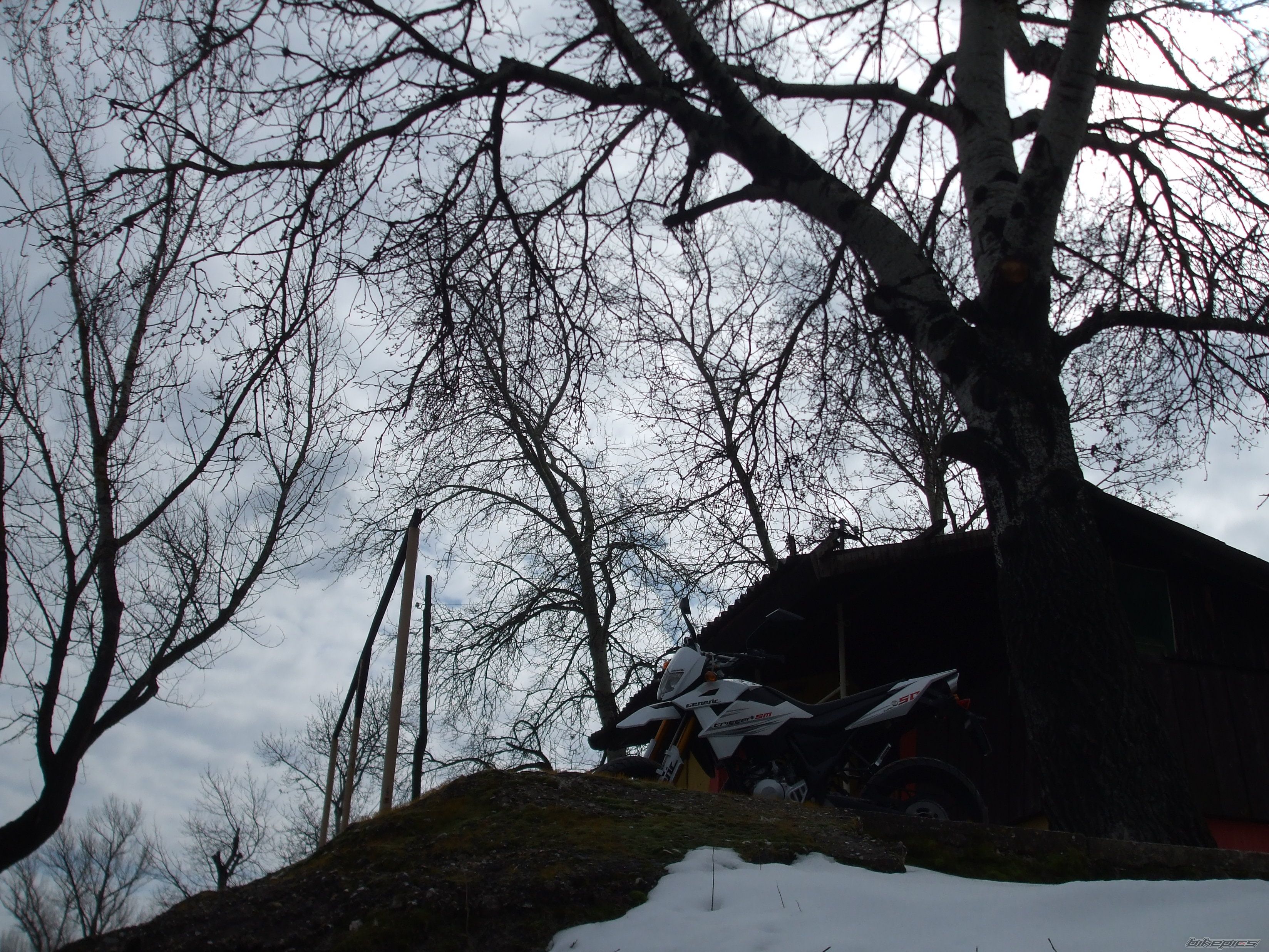 2010 APRILIA RX 50 | Picture 1926157 motorcycle photo