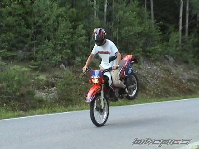 2003 RIEJU RR 50 | Picture 192623 motorcycle photo
