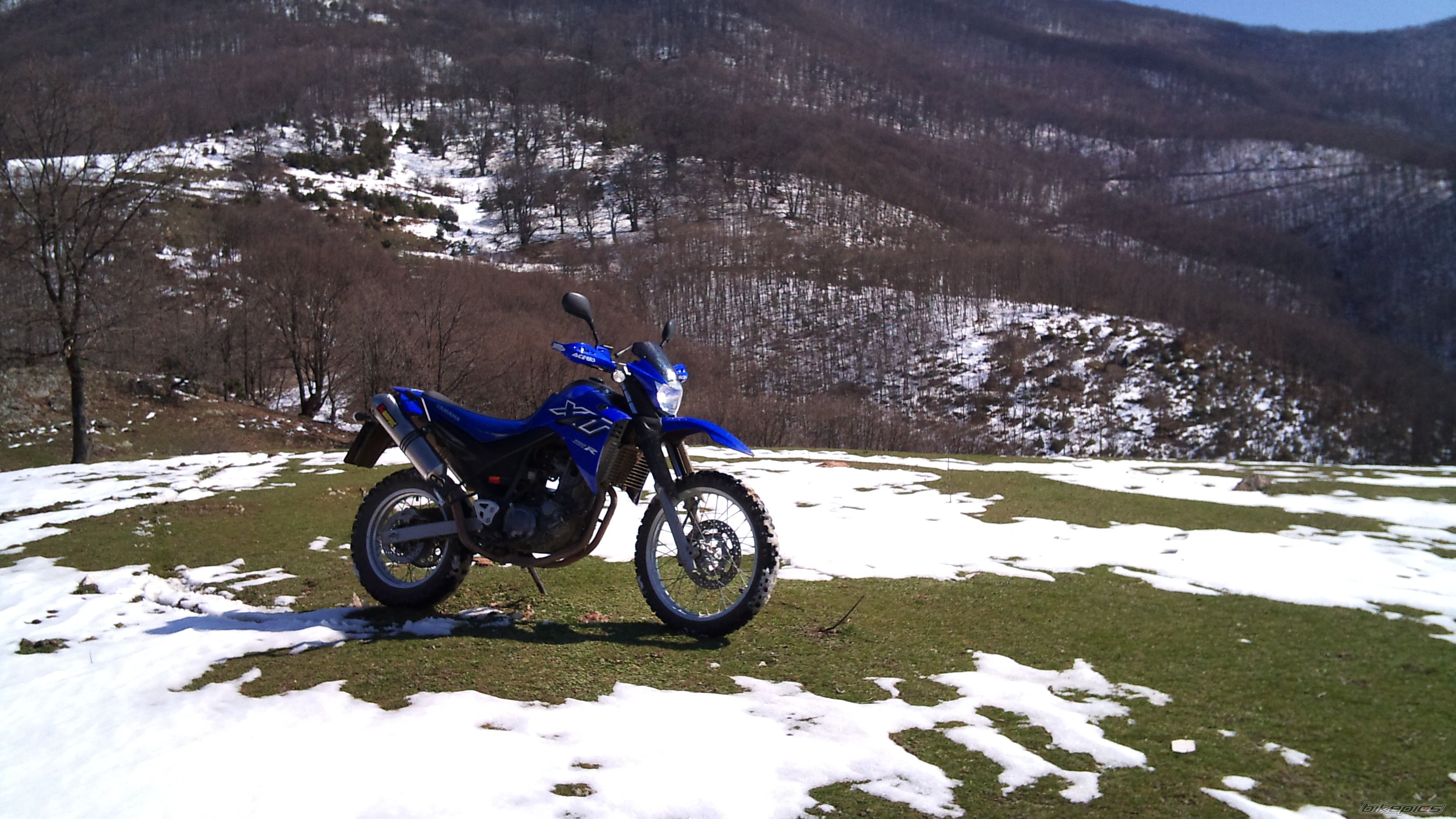 2008 YAMAHA XT 660 | Picture 1926243 motorcycle photo