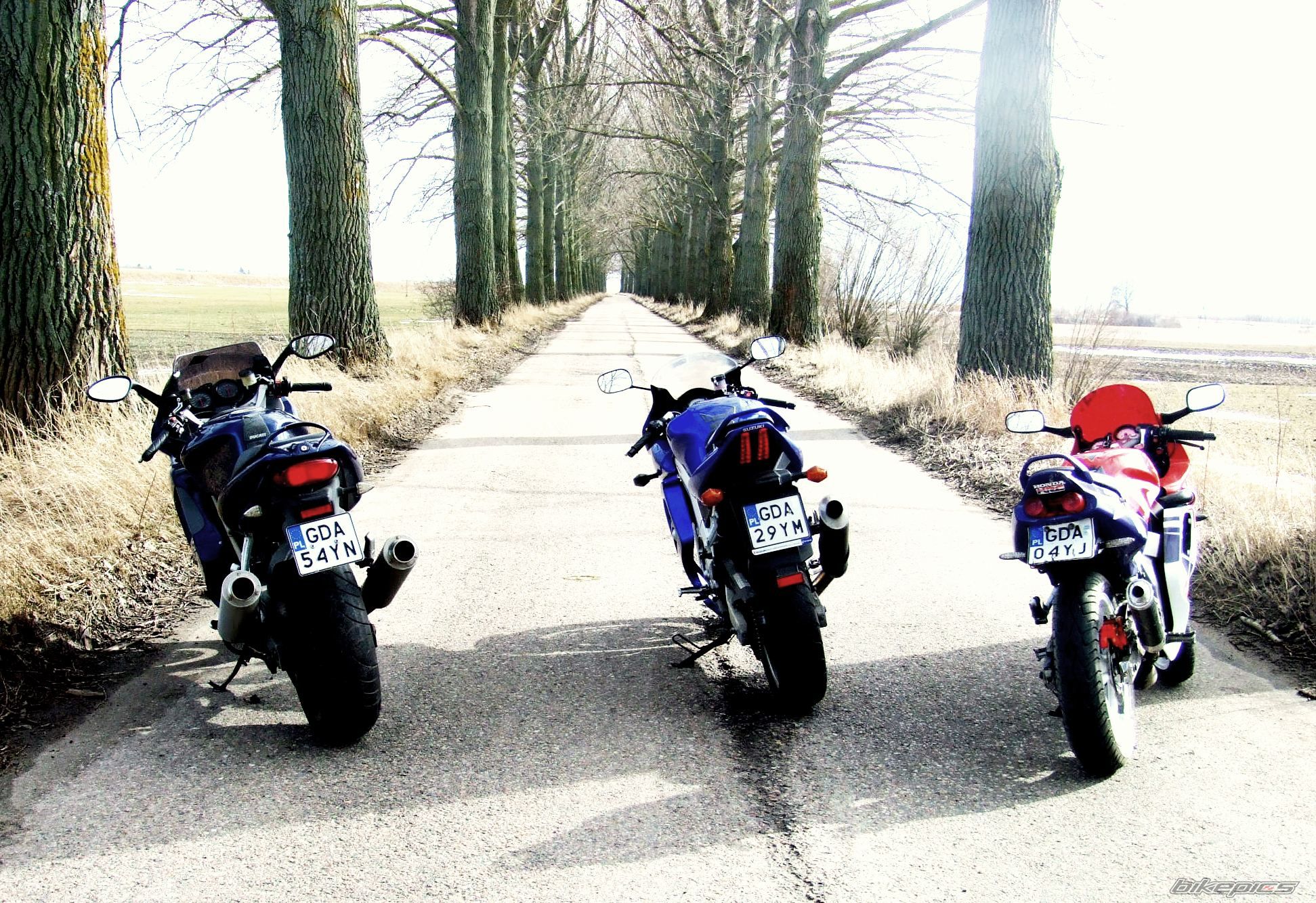 1998 DUCATI ST4 | Picture 1926716 motorcycle photo