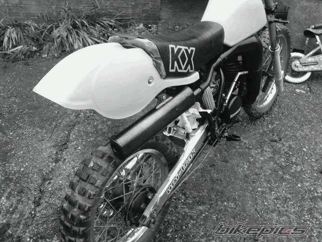 1981 KAWASAKI KX 250 | Picture 1926873 motorcycle photo