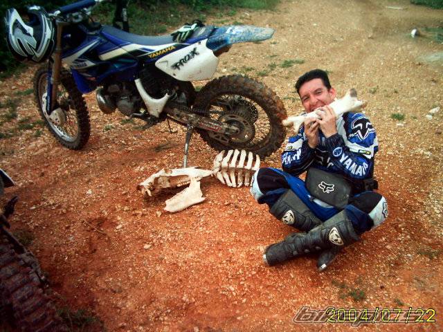 1998 YAMAHA WR 250 | Picture 192712 motorcycle photo