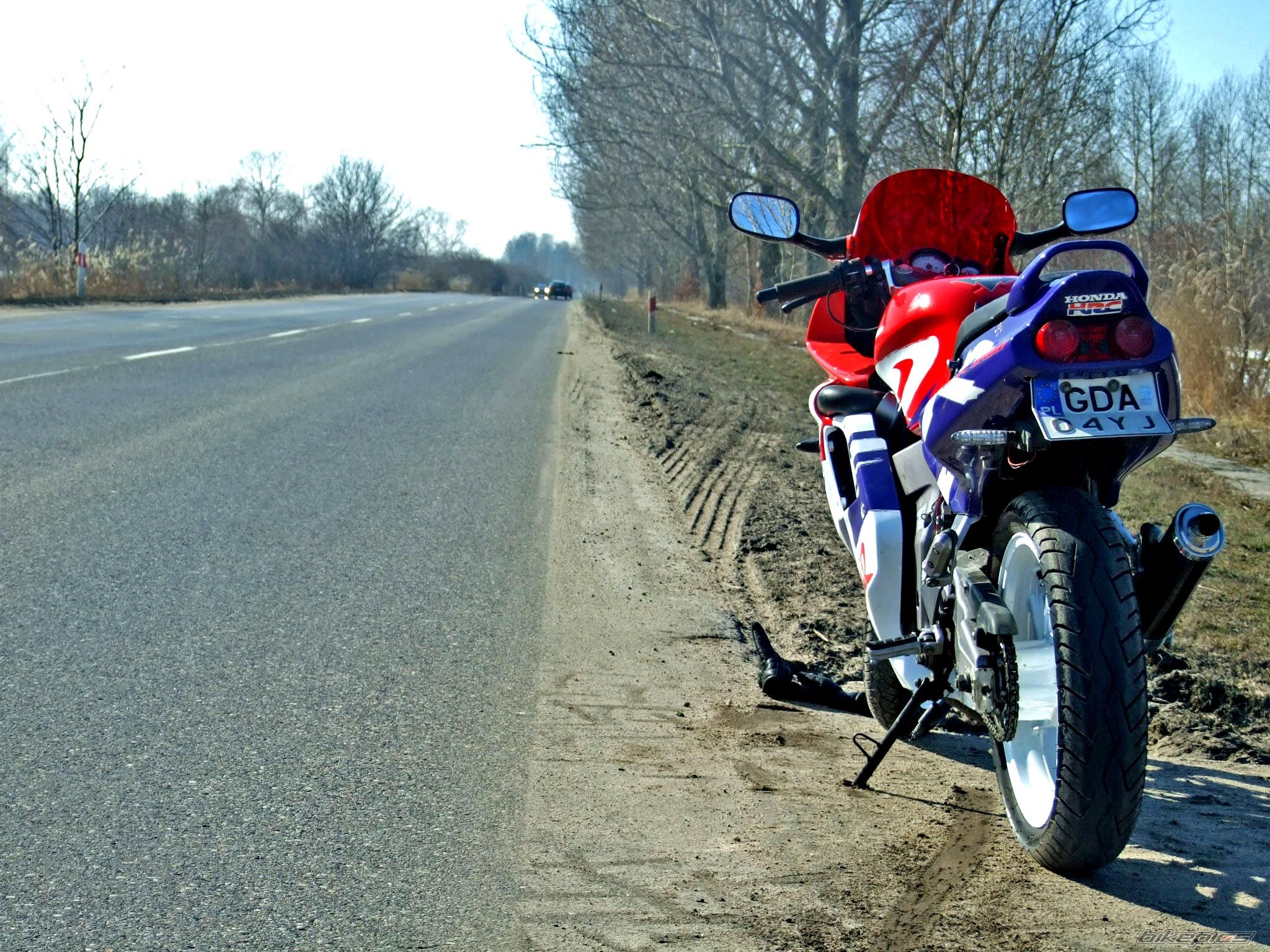 1998 HONDA NSR 125 | Picture 1927359 motorcycle photo