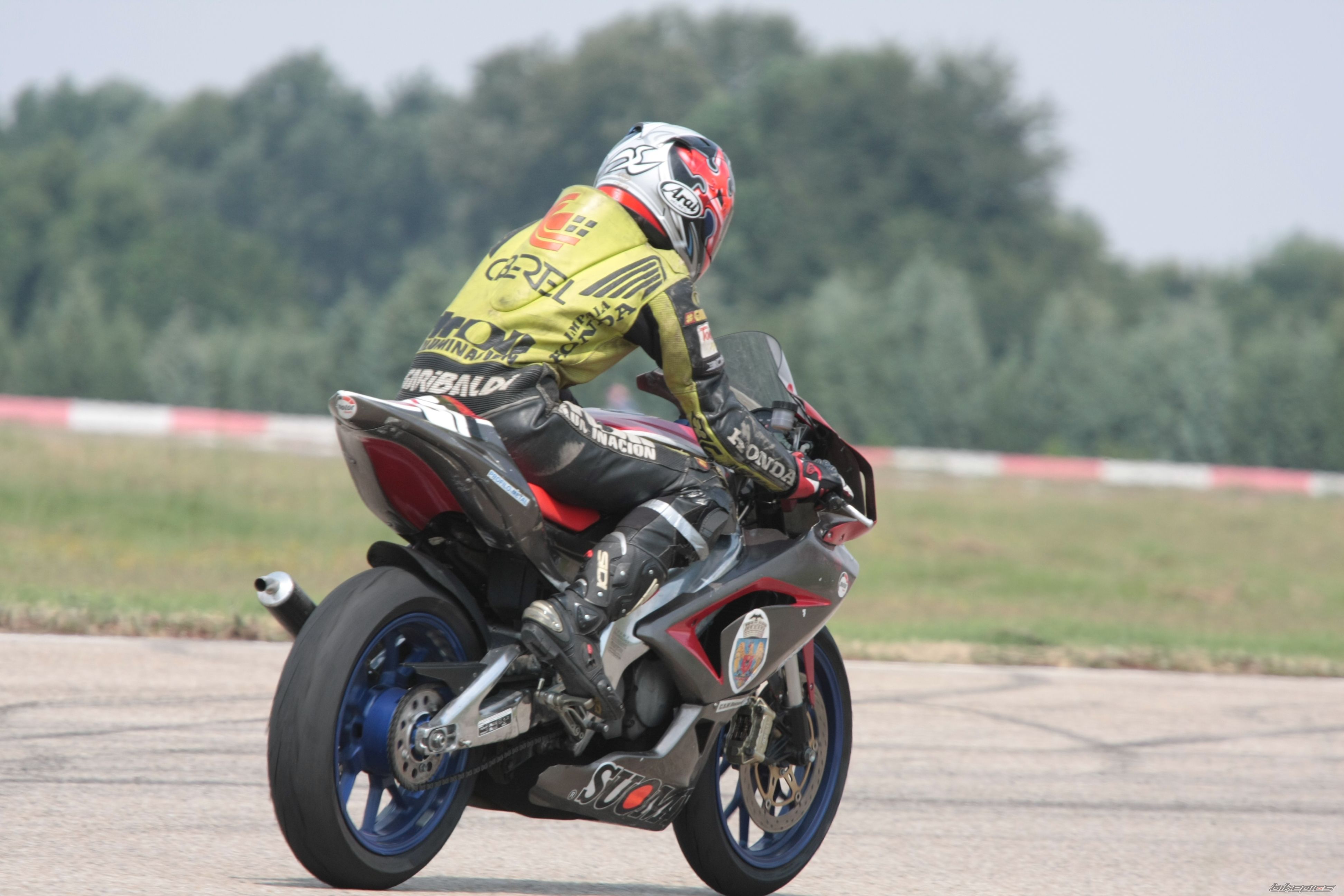 2008 APRILIA RS 125 | Picture 1927671 motorcycle photo