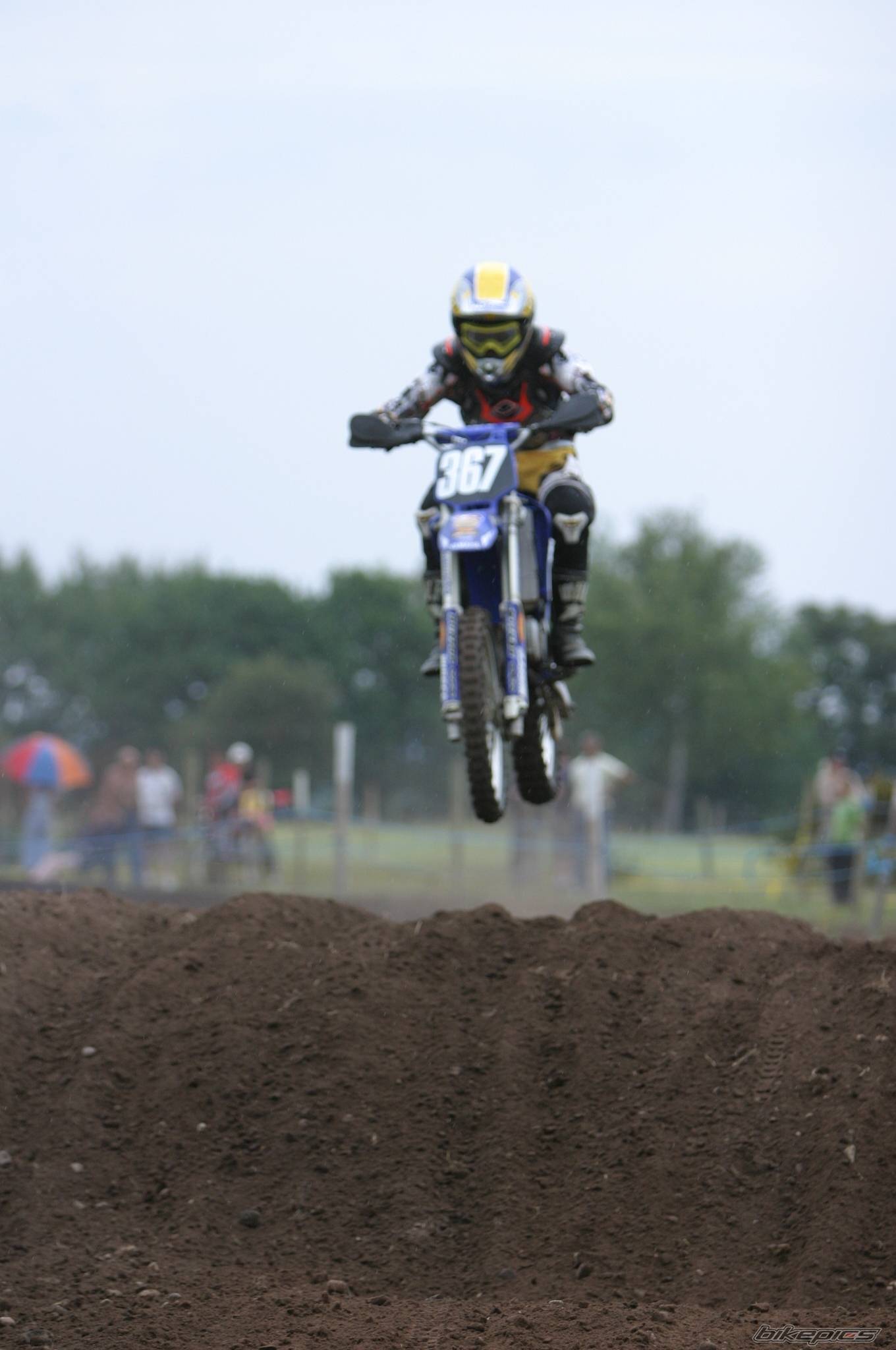 2001 YAMAHA YZ 80 | Picture 192786 motorcycle photo