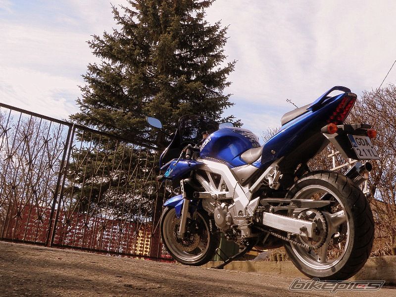 2003 SUZUKI SV 650S | Picture 1927886 motorcycle photo