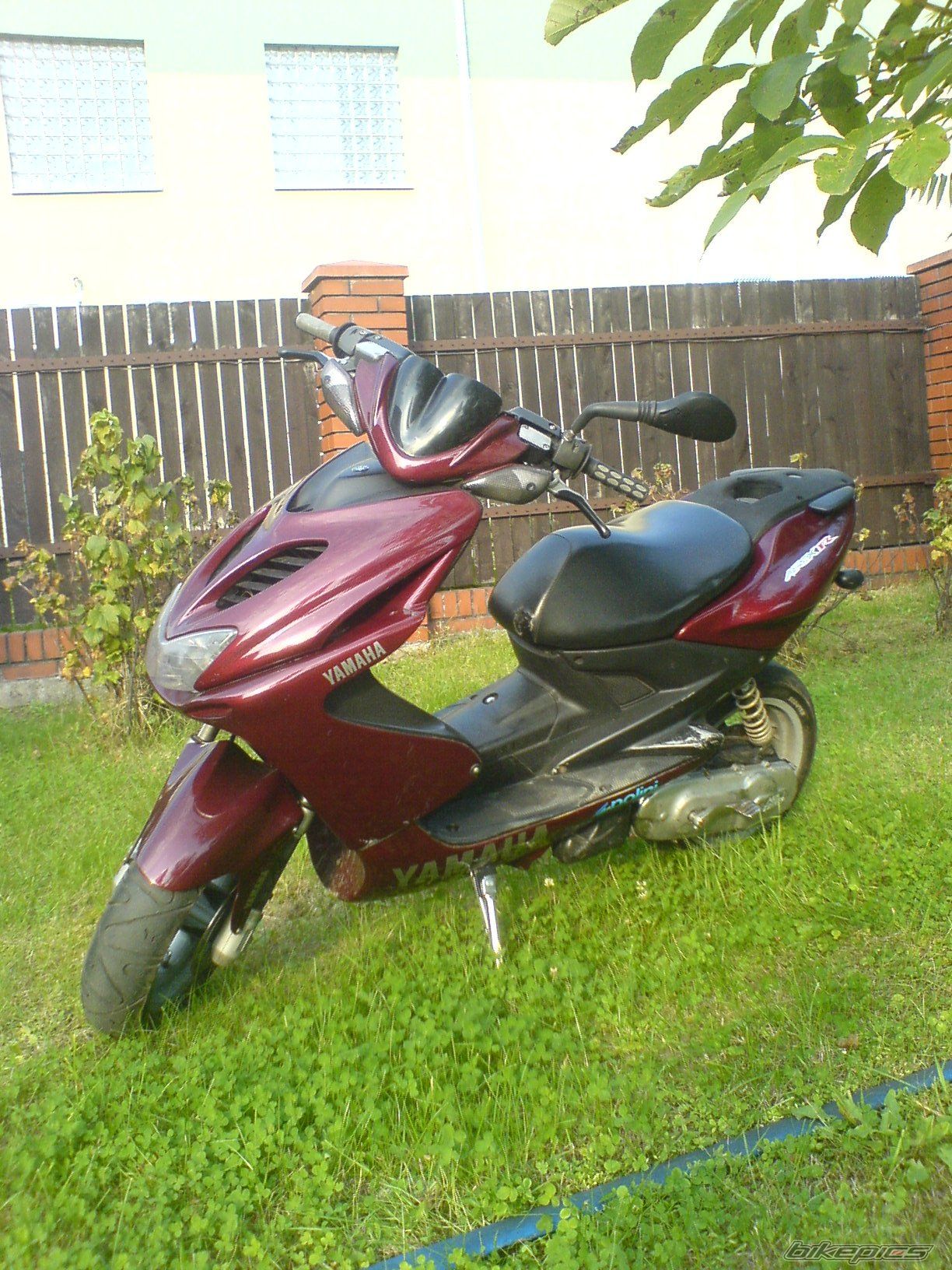 2001 YAMAHA AEROX 50 | Picture 1928160 motorcycle photo