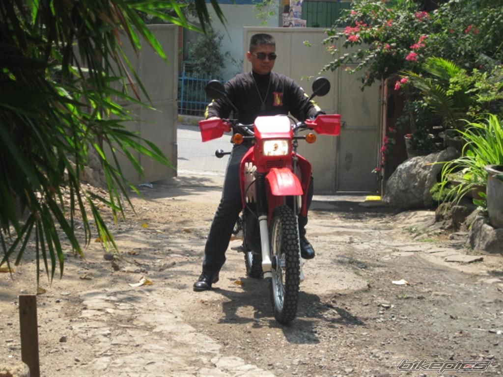 2007 KAWASAKI KMX 125 | Picture 1928456 motorcycle photo