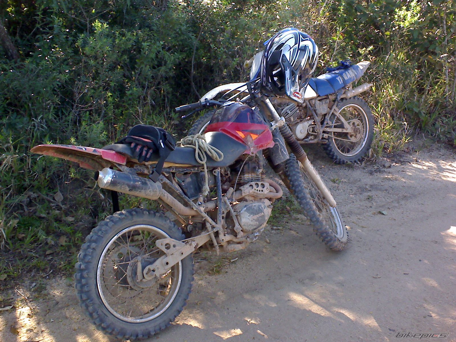 1990 HONDA XLX 250 | Picture 1928688 motorcycle photo