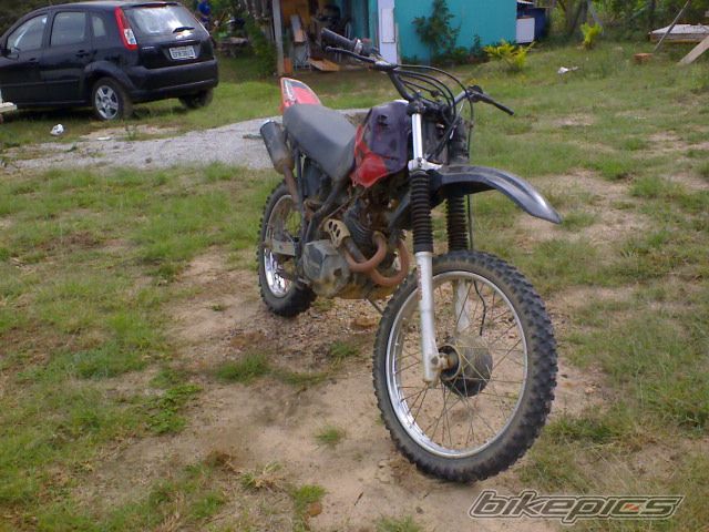 1990 HONDA XLX 250 | Picture 1928690 motorcycle photo