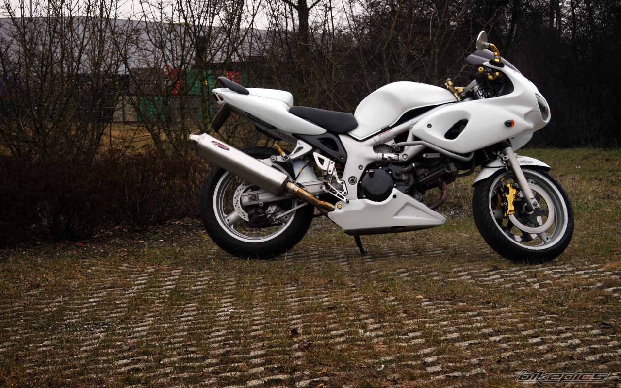 2002 SUZUKI SV 650S | Picture 1928880 motorcycle photo